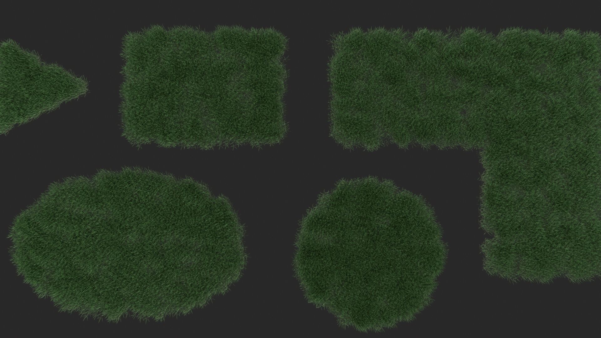 Realistic lawn grass collection - 5 Varieties  3D model_19