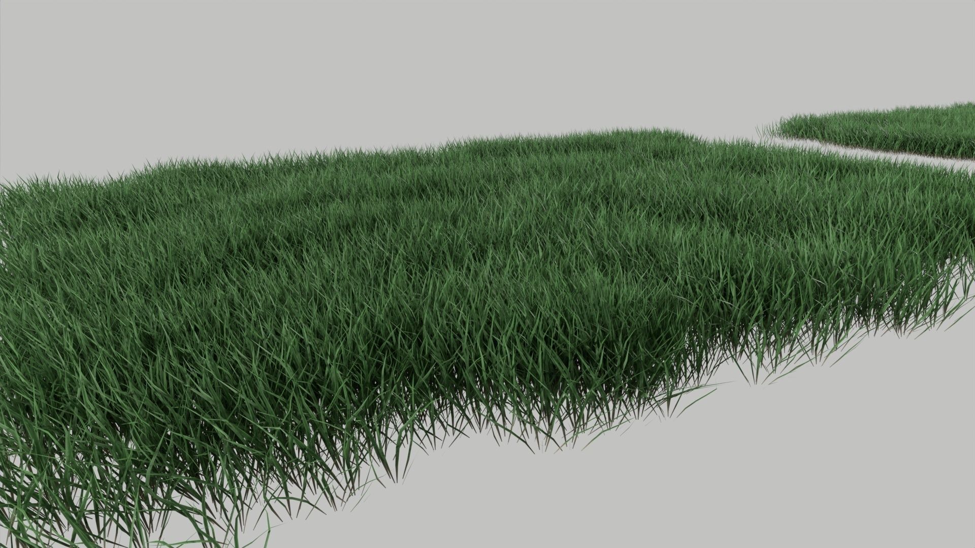 Realistic lawn grass collection - 5 Varieties  3D model_3