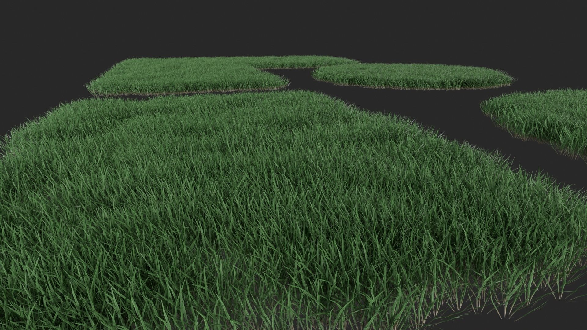 Realistic lawn grass collection - 5 Varieties  3D model_20