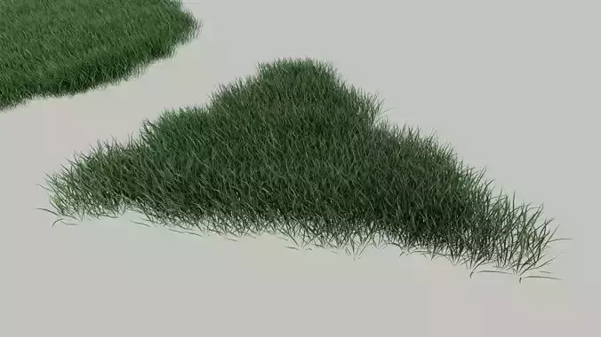 Realistic lawn grass collection - 5 Varieties  3D model