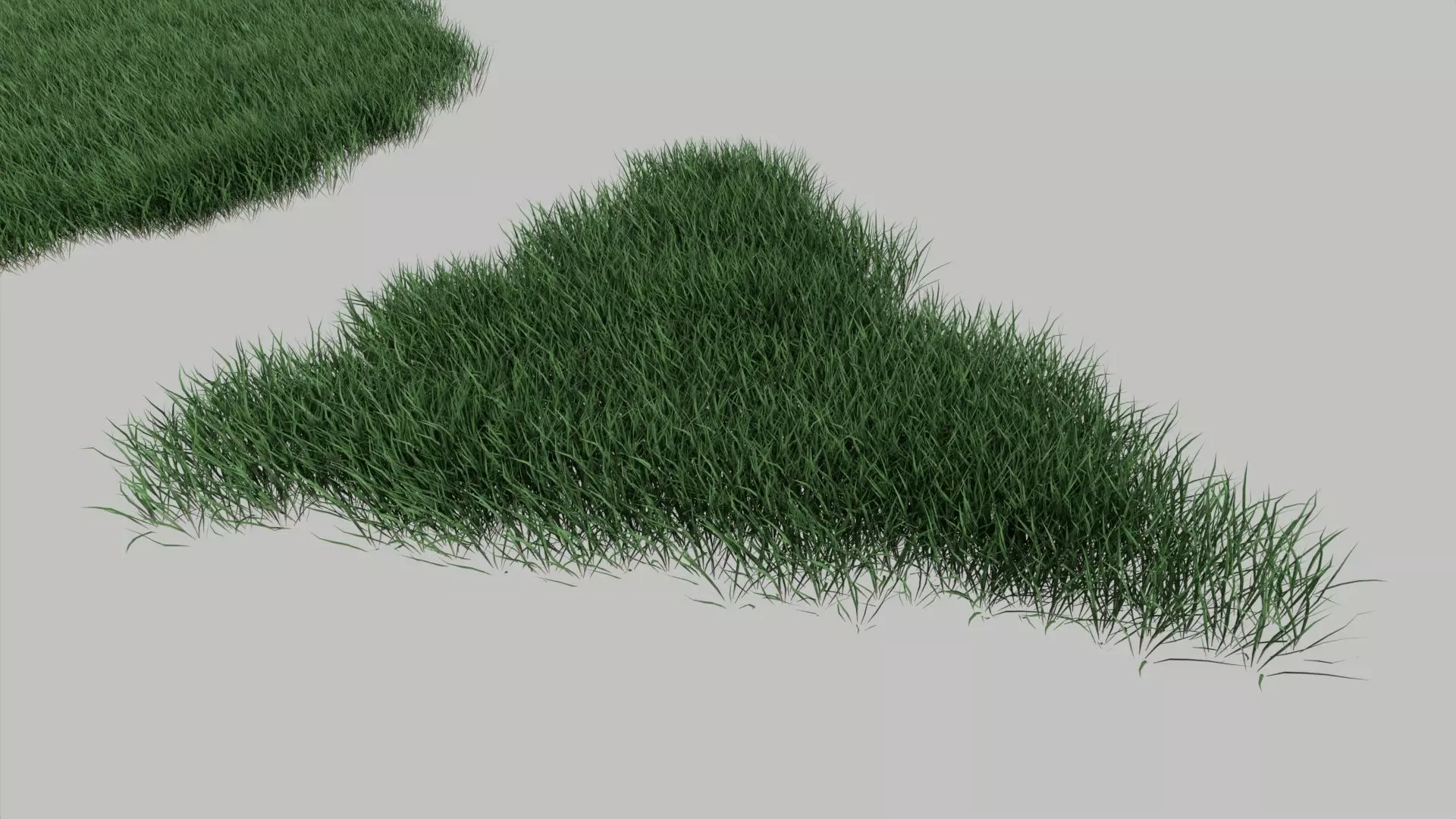 Realistic lawn grass collection - 5 Varieties  3D model_0