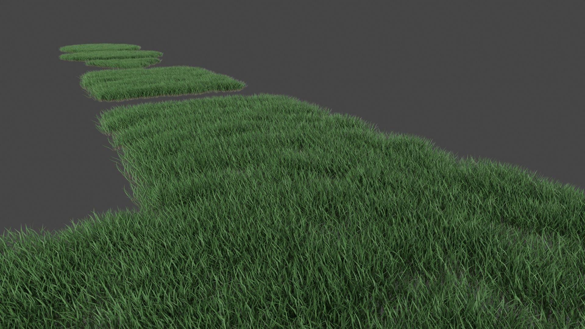 Realistic lawn grass collection - 5 Varieties  3D model_7