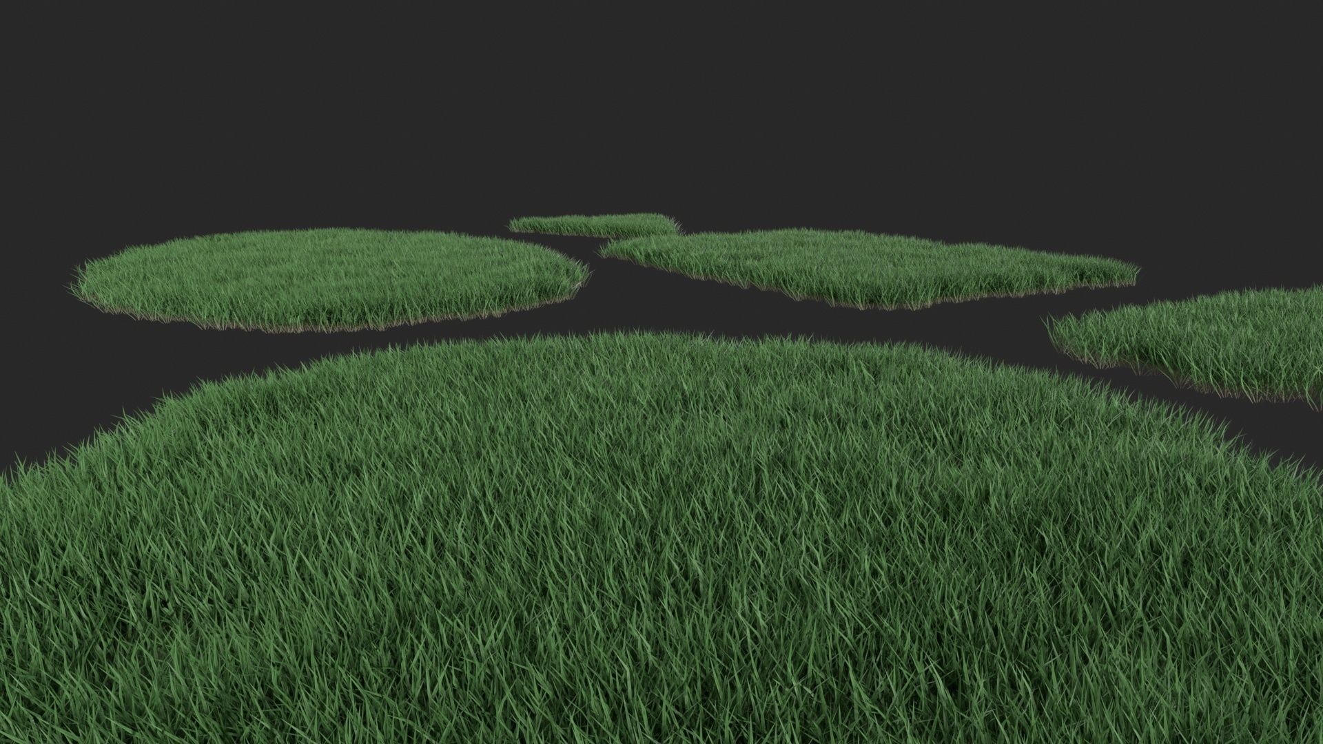 Realistic lawn grass collection - 5 Varieties  3D model_24