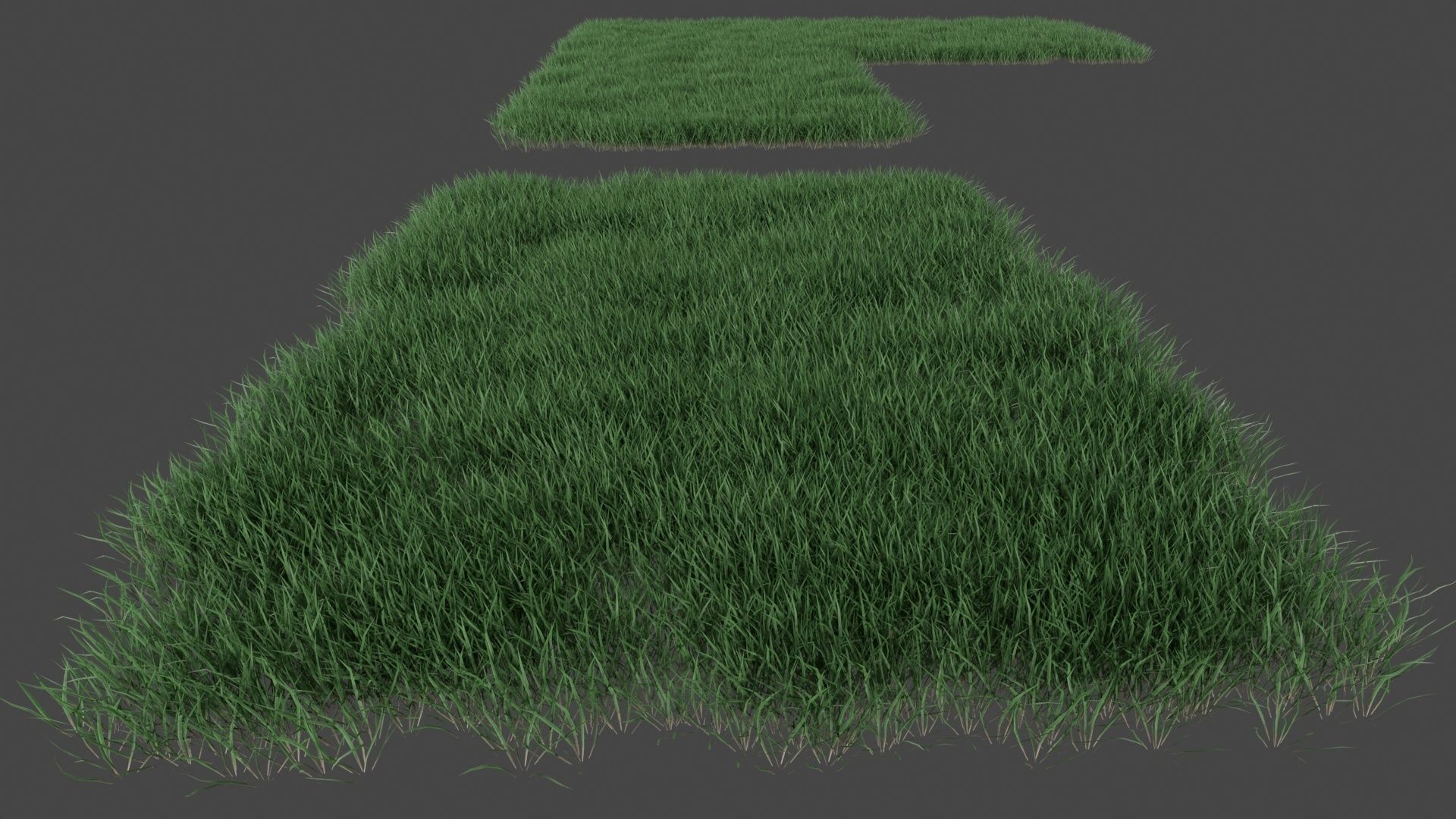 Realistic lawn grass collection - 5 Varieties  3D model_16