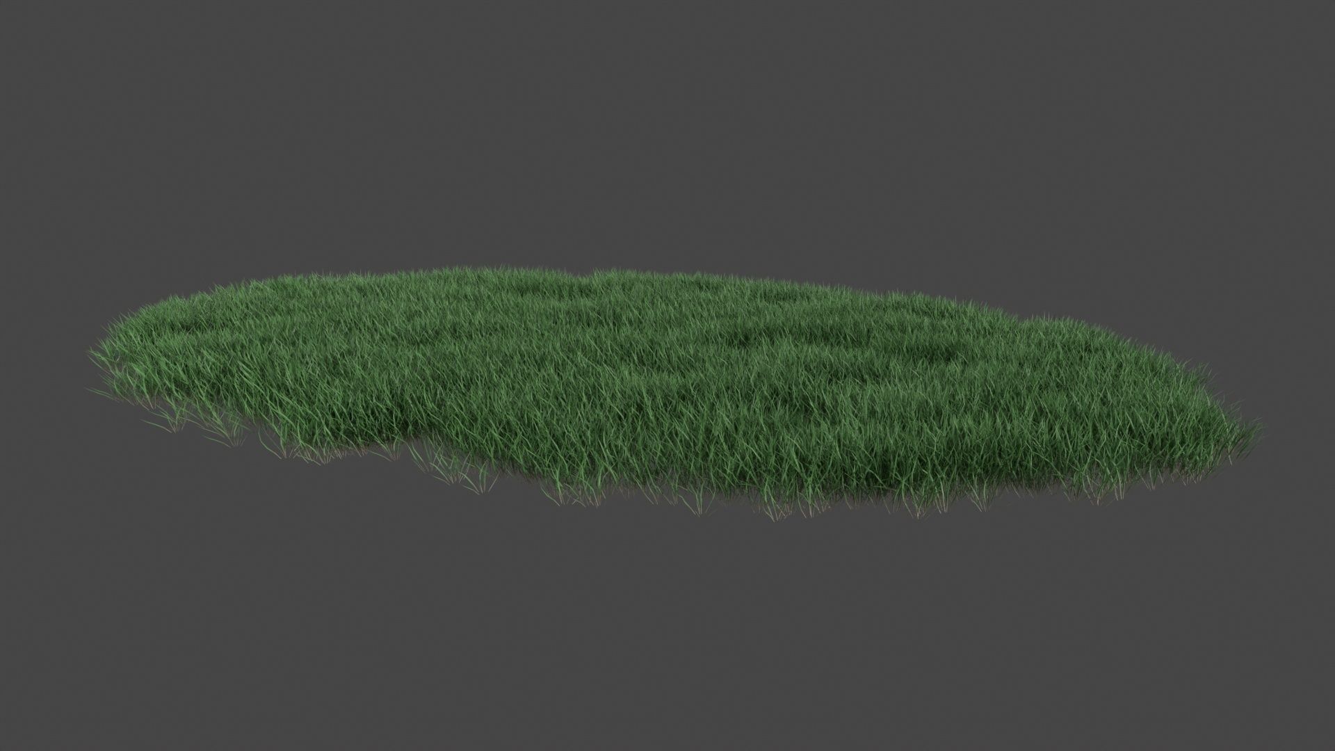 Realistic lawn grass collection - 5 Varieties  3D model_14