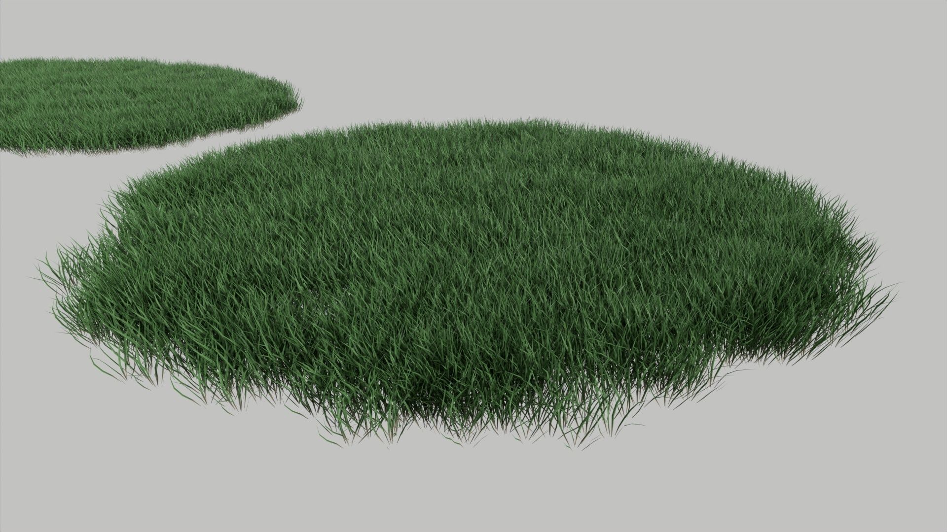 Realistic lawn grass collection - 5 Varieties  3D model_2