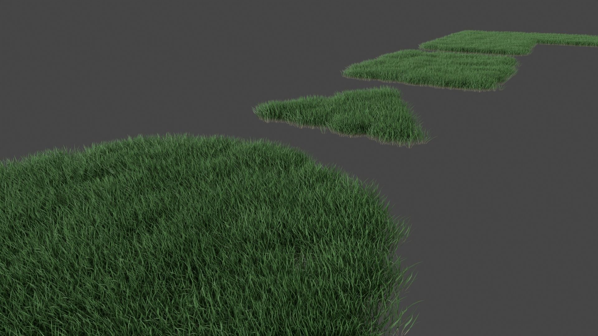 Realistic lawn grass collection - 5 Varieties  3D model_9