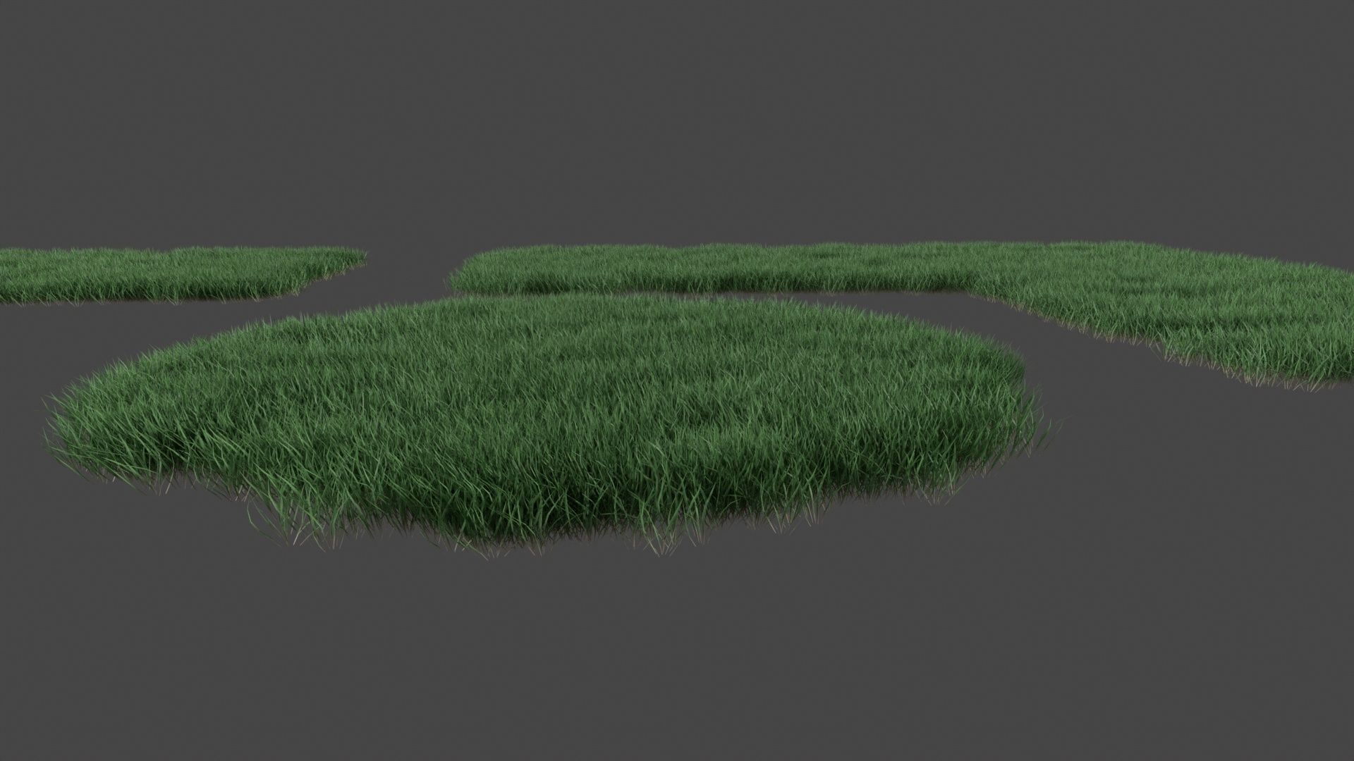 Realistic lawn grass collection - 5 Varieties  3D model_18