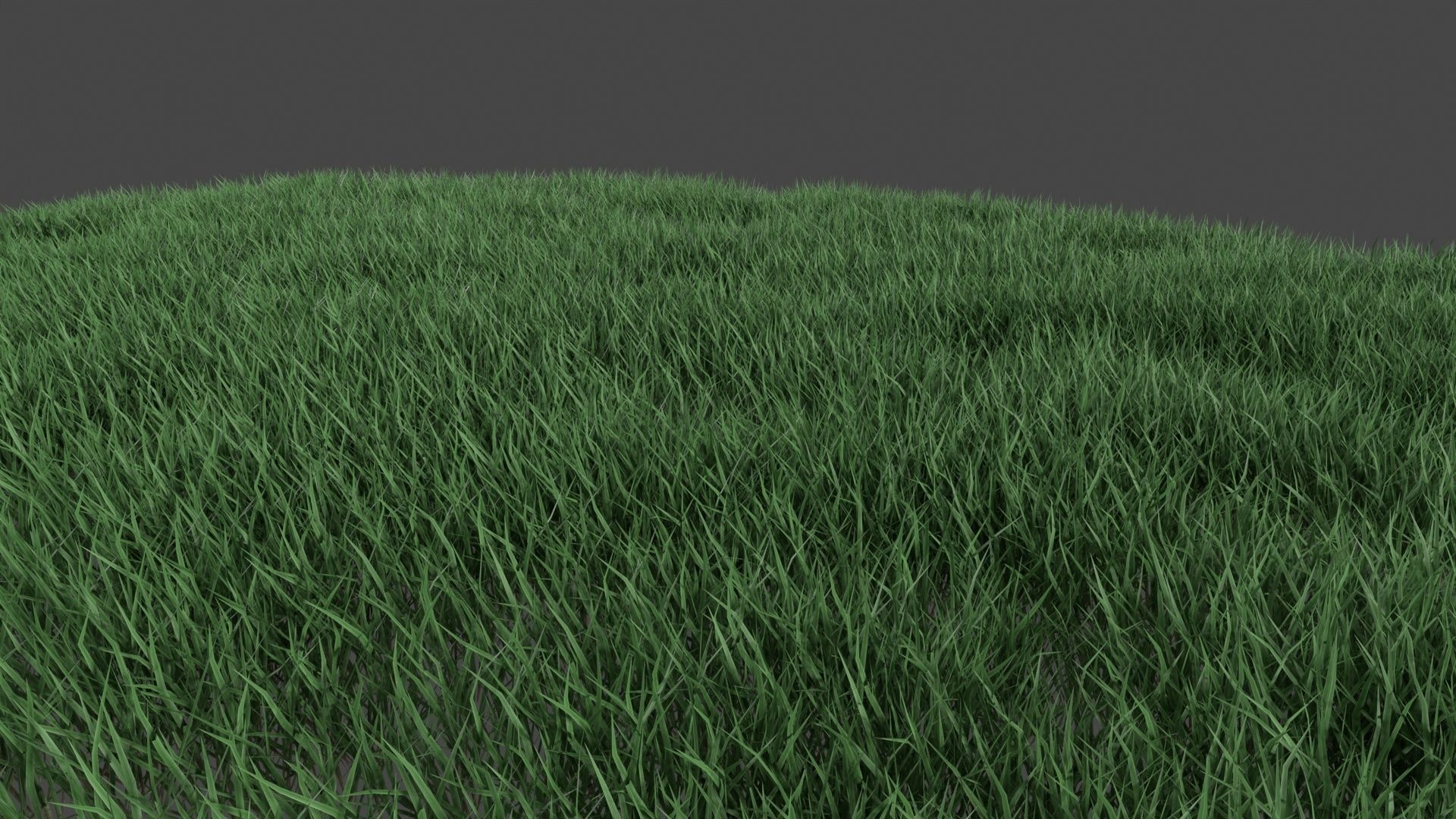 Realistic lawn grass collection - 5 Varieties  3D model_15
