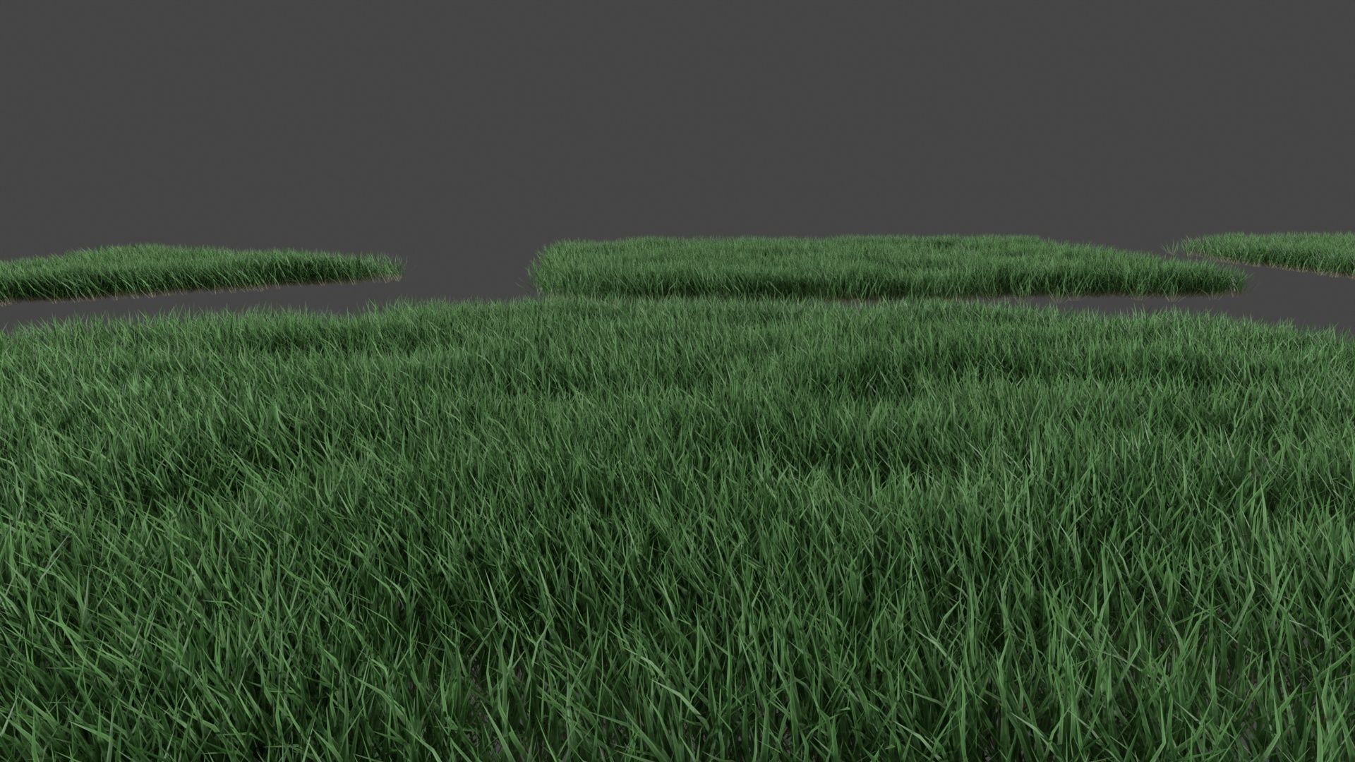 Realistic lawn grass collection - 5 Varieties  3D model_13