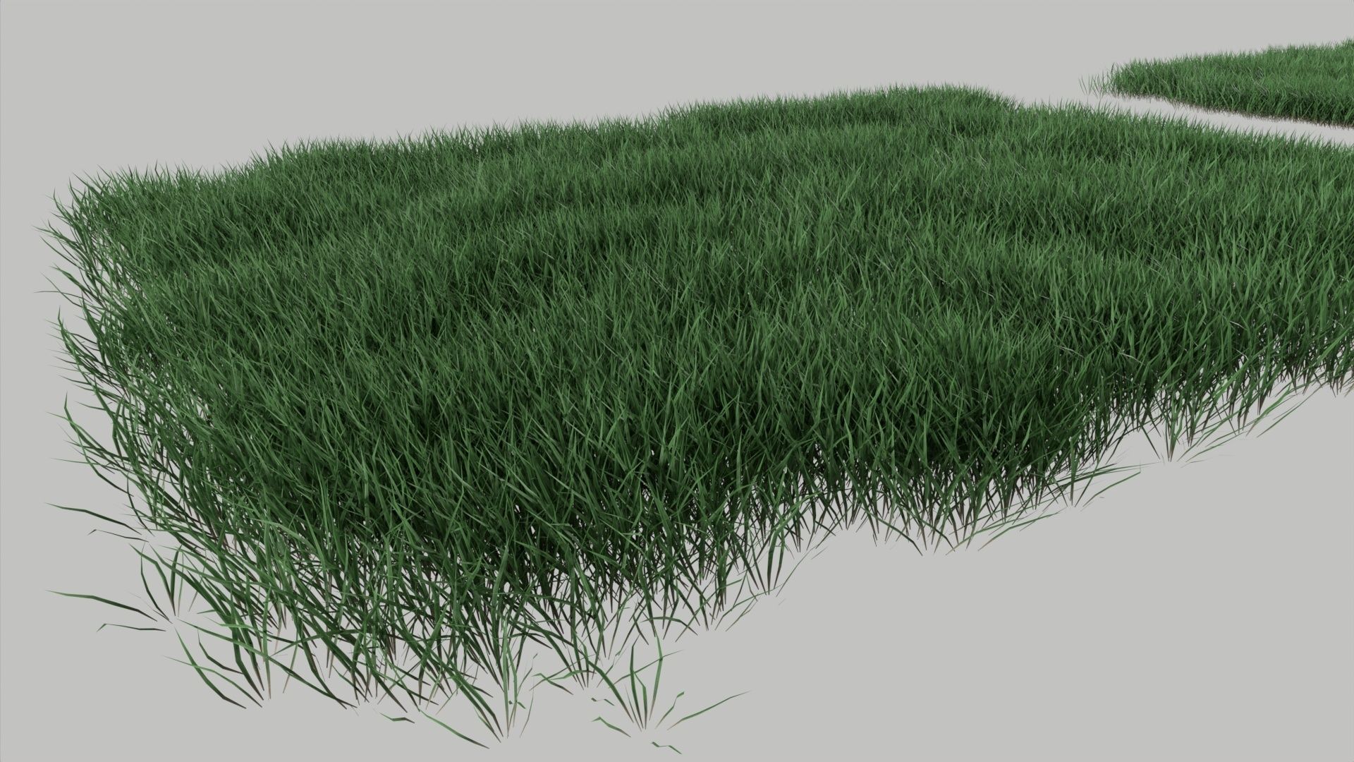 Realistic lawn grass collection - 5 Varieties  3D model_1