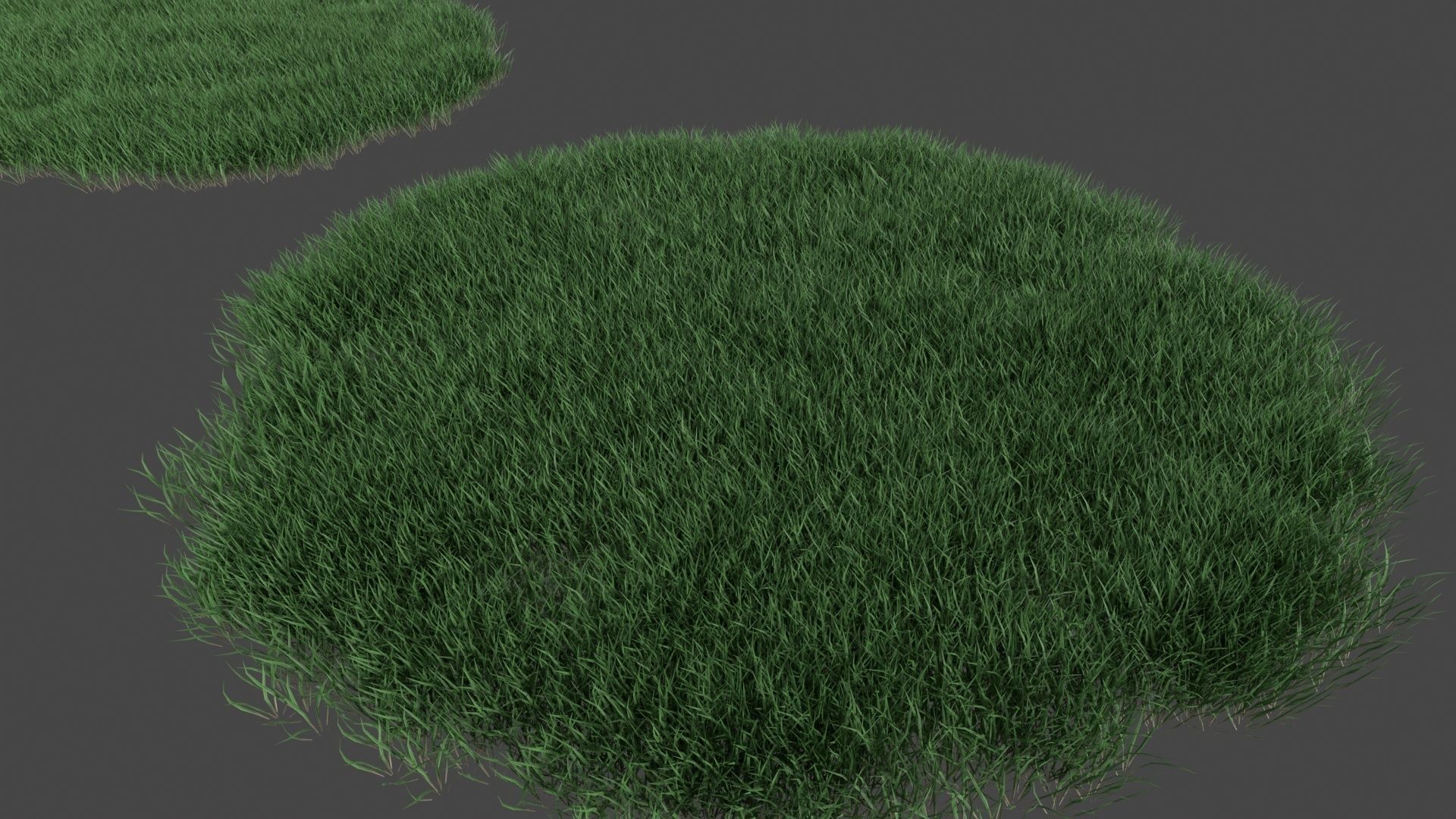 Realistic lawn grass collection - 5 Varieties  3D model_12