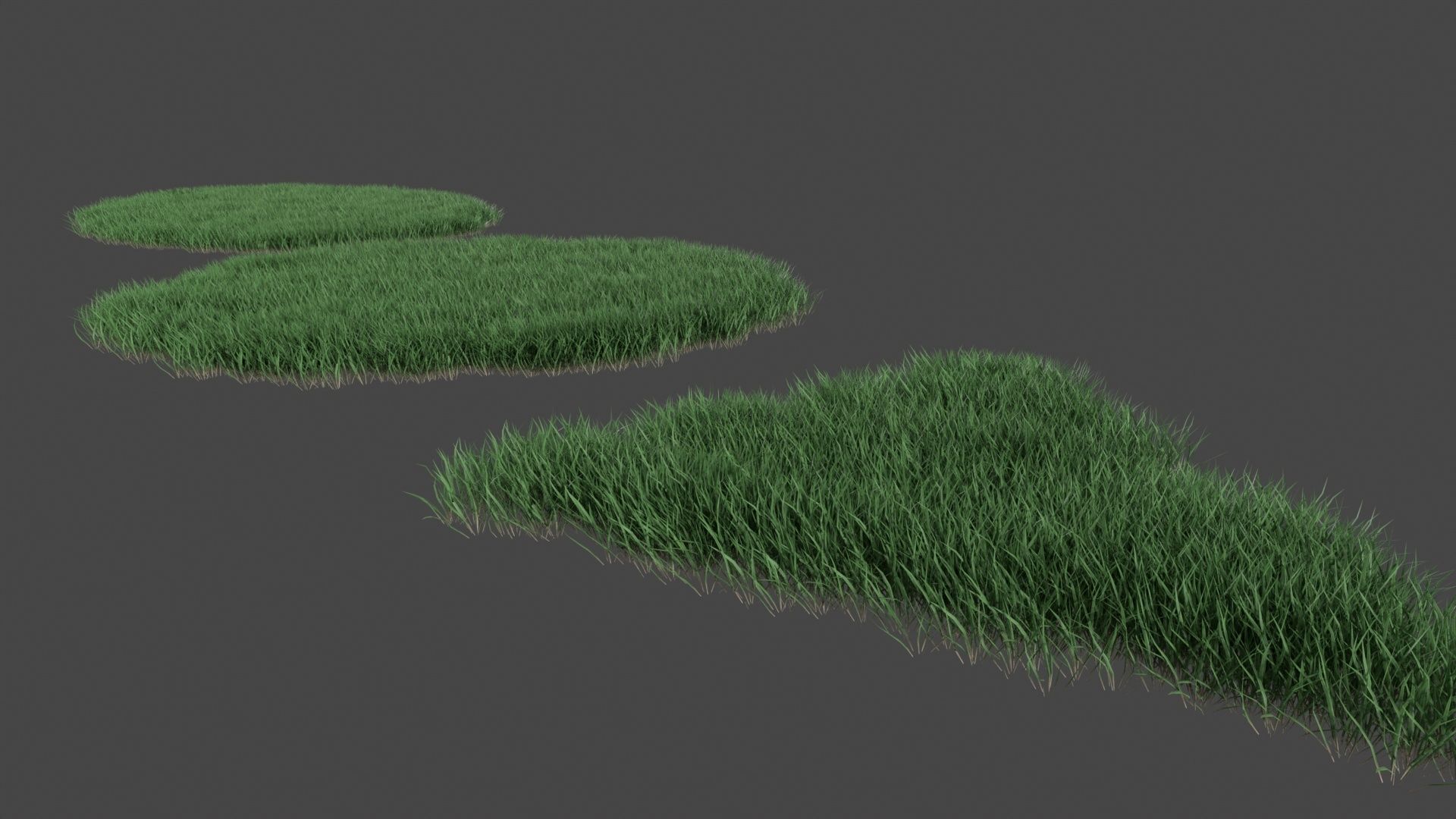 Realistic lawn grass collection - 5 Varieties  3D model_11