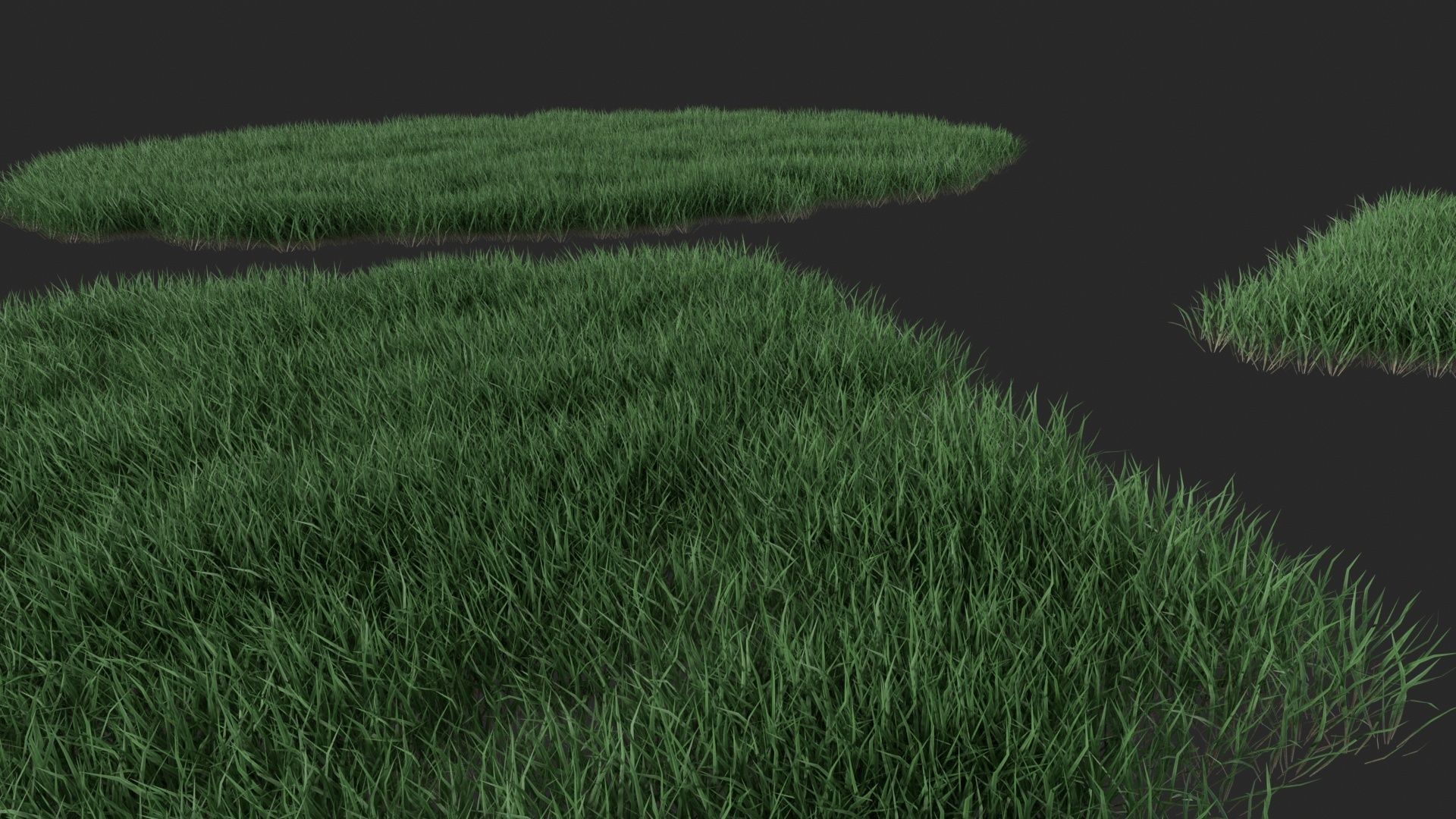 Realistic lawn grass collection - 5 Varieties  3D model_22