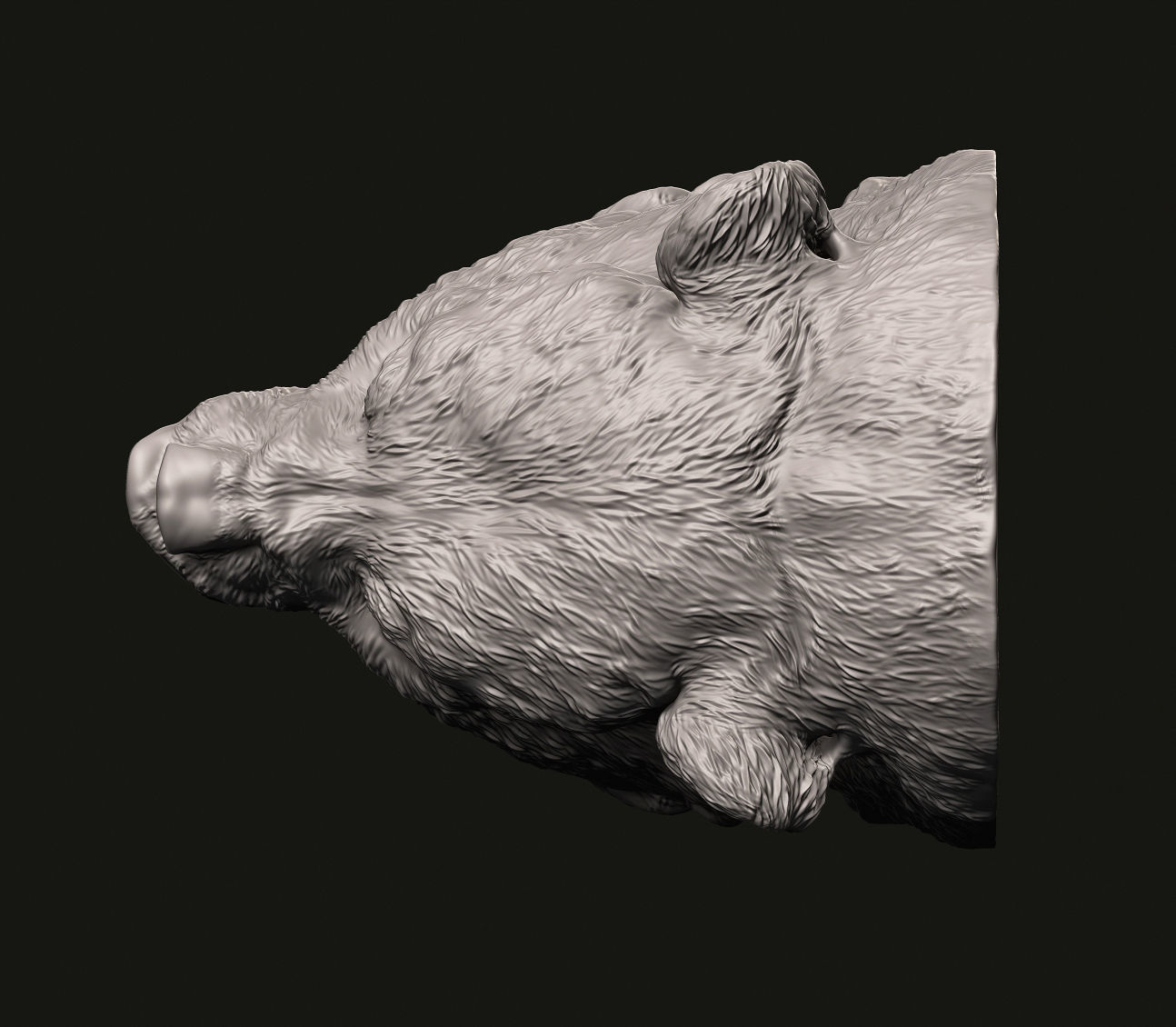 Grizzly head 3D print model_5
