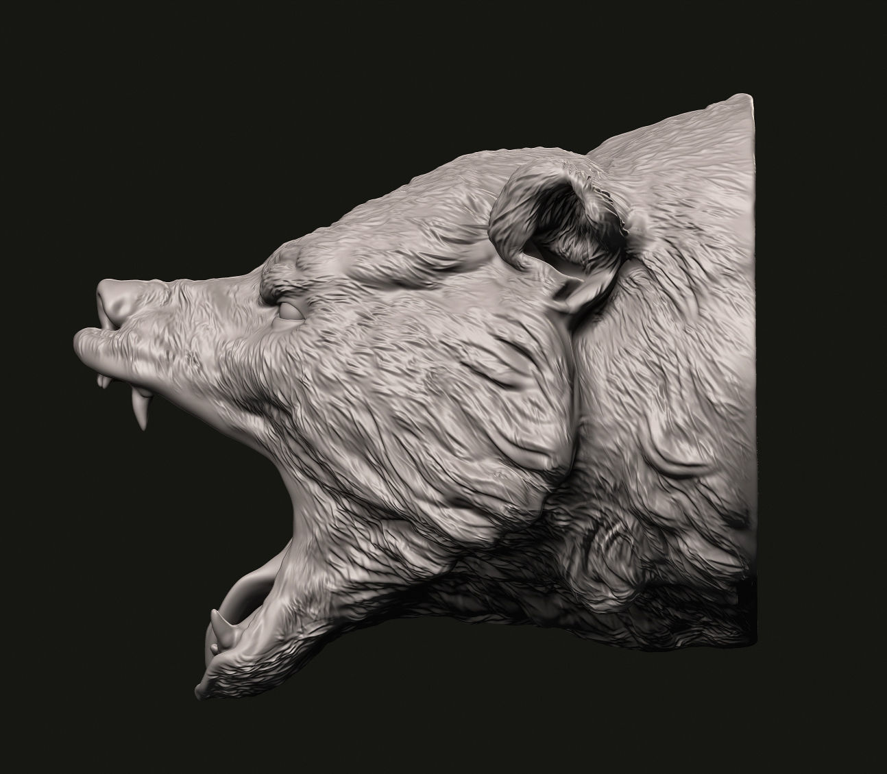 Grizzly head 3D print model_3