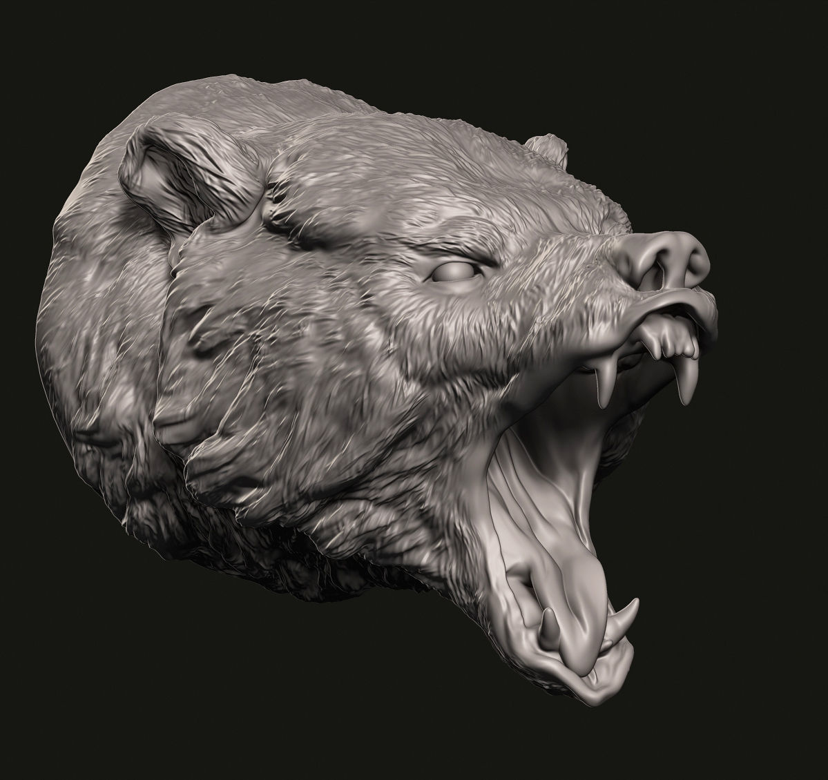 Grizzly head 3D print model_4