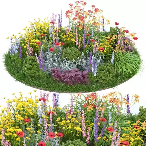 Garden plants 9 3D model
