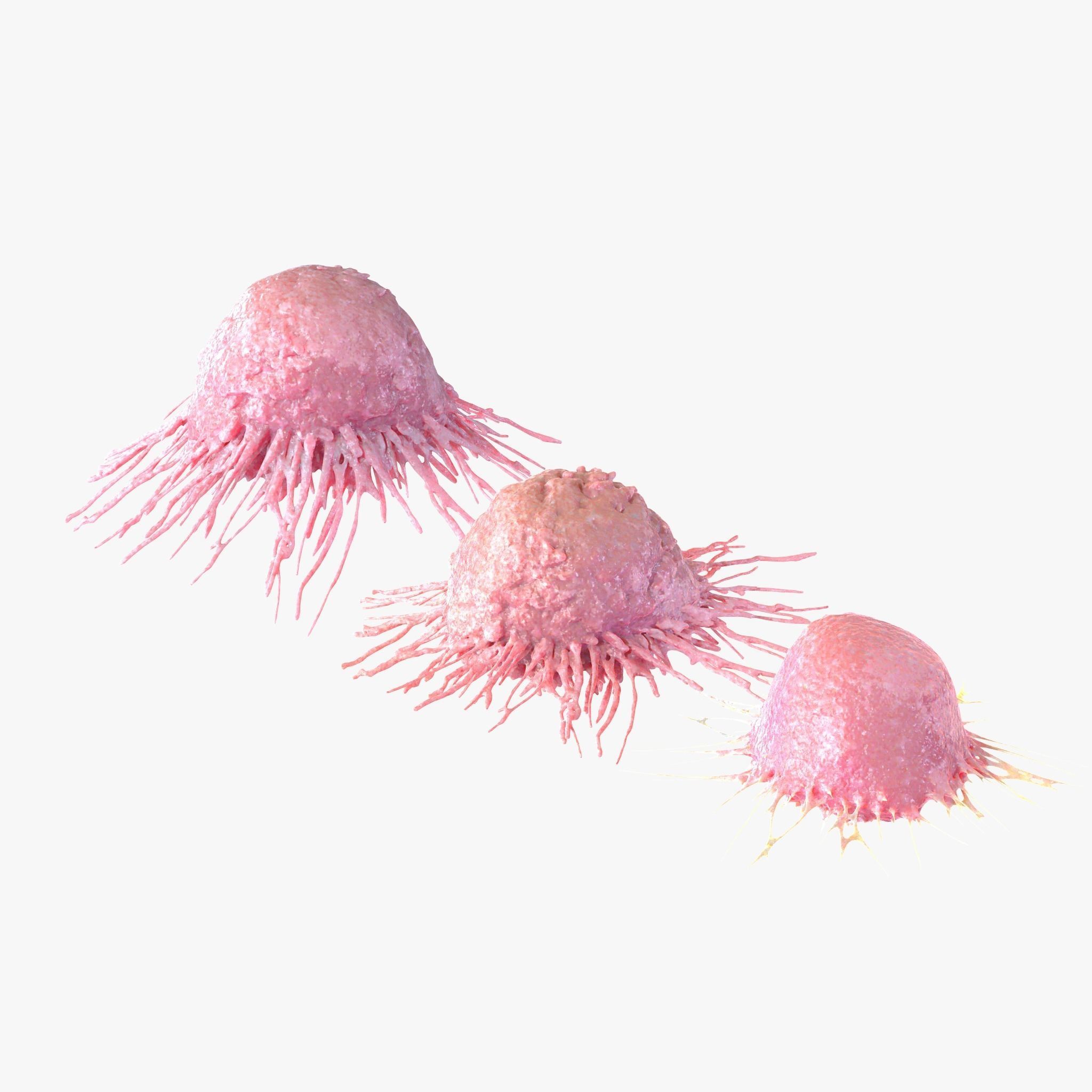 Cancer Cell 3D model_1