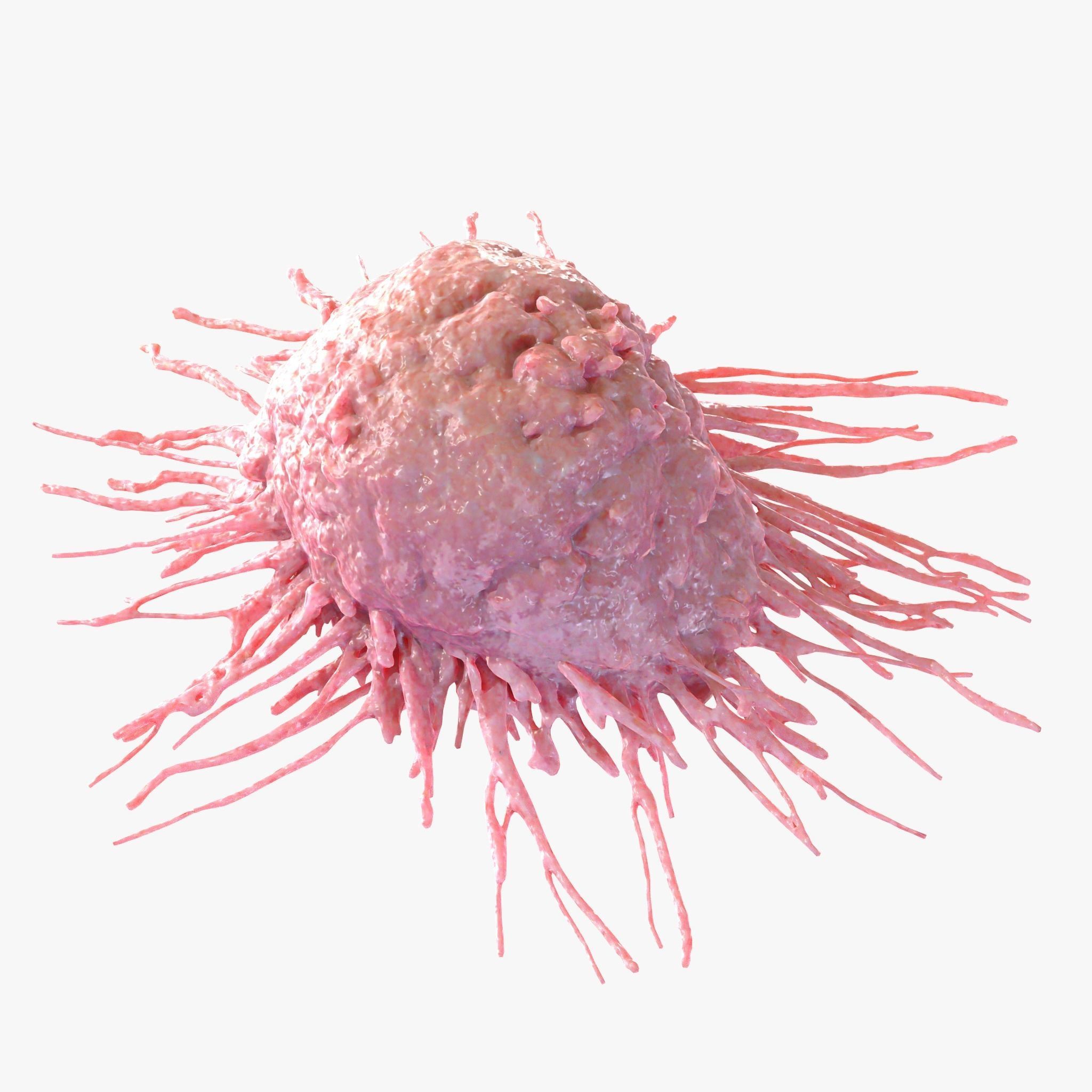 Cancer Cell 3D model_3