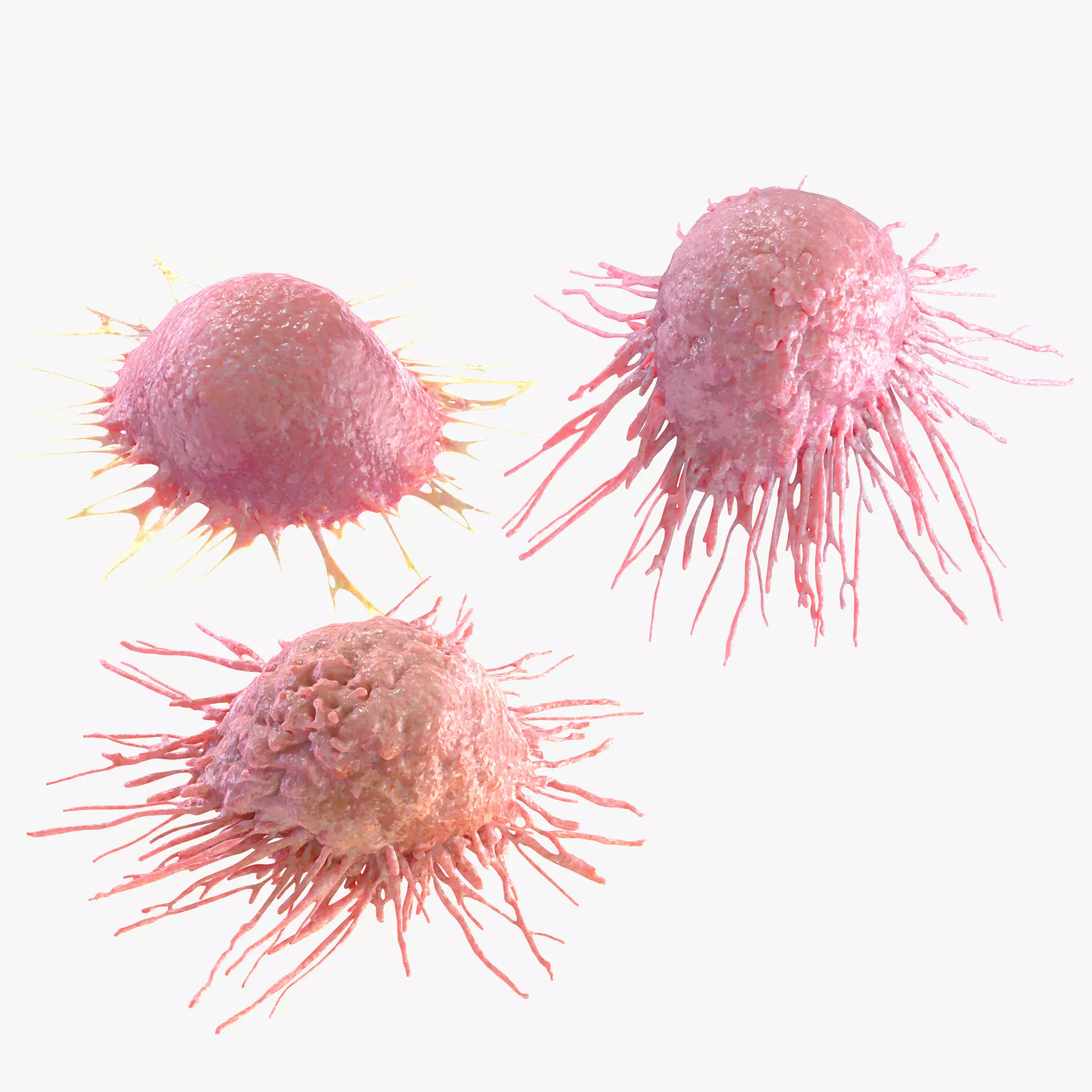 Cancer Cell 3D model_0