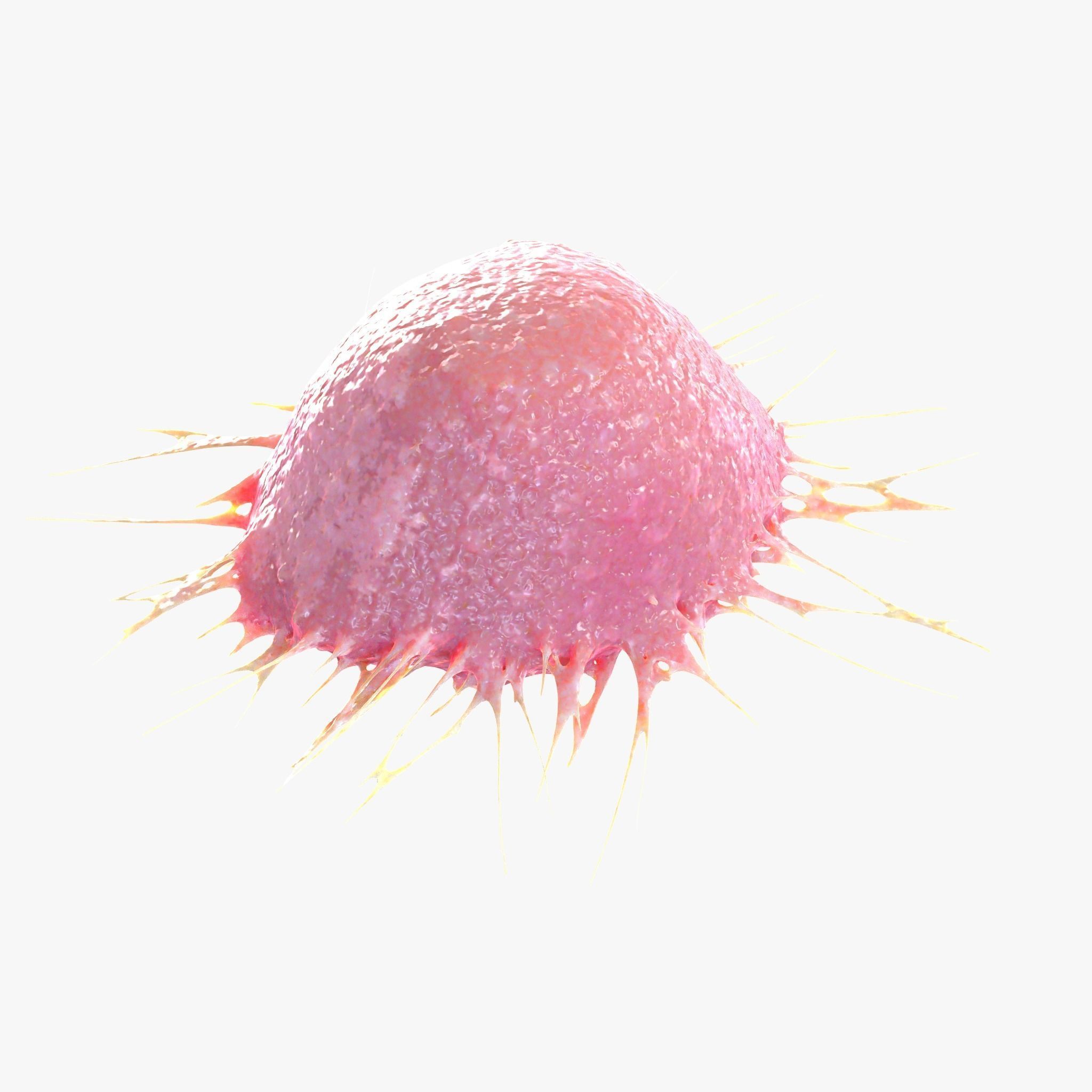 Cancer Cell 3D model_2
