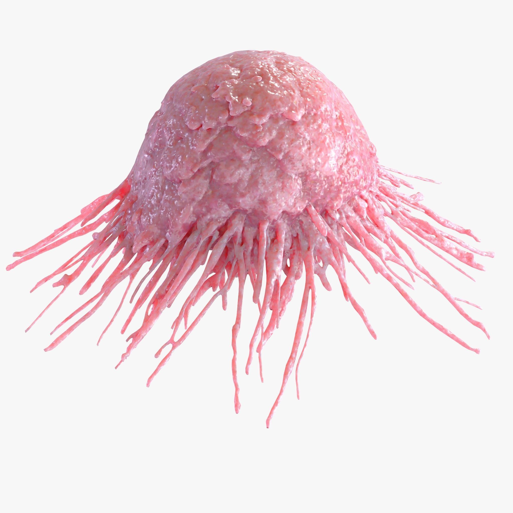 Cancer Cell 3D model_4