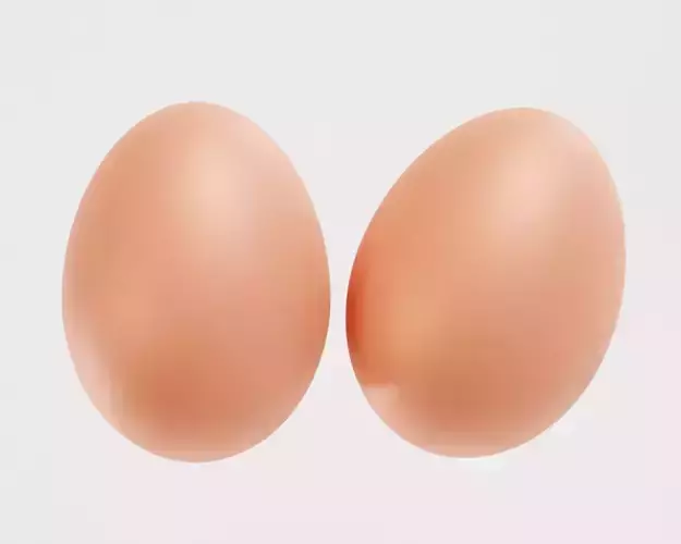 Egg model