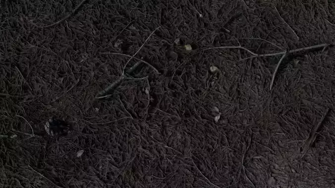 Pineforestfloor 3D model