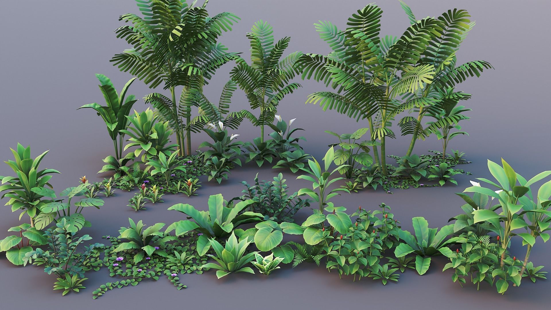 Tropical plants pack G94 Low-poly 3D model_9