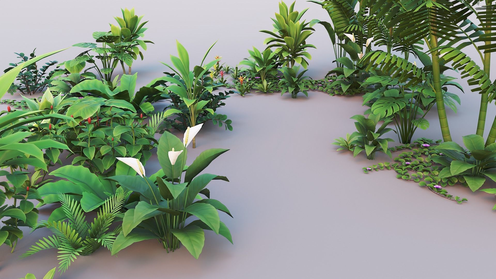 Tropical plants pack G94 Low-poly 3D model_15