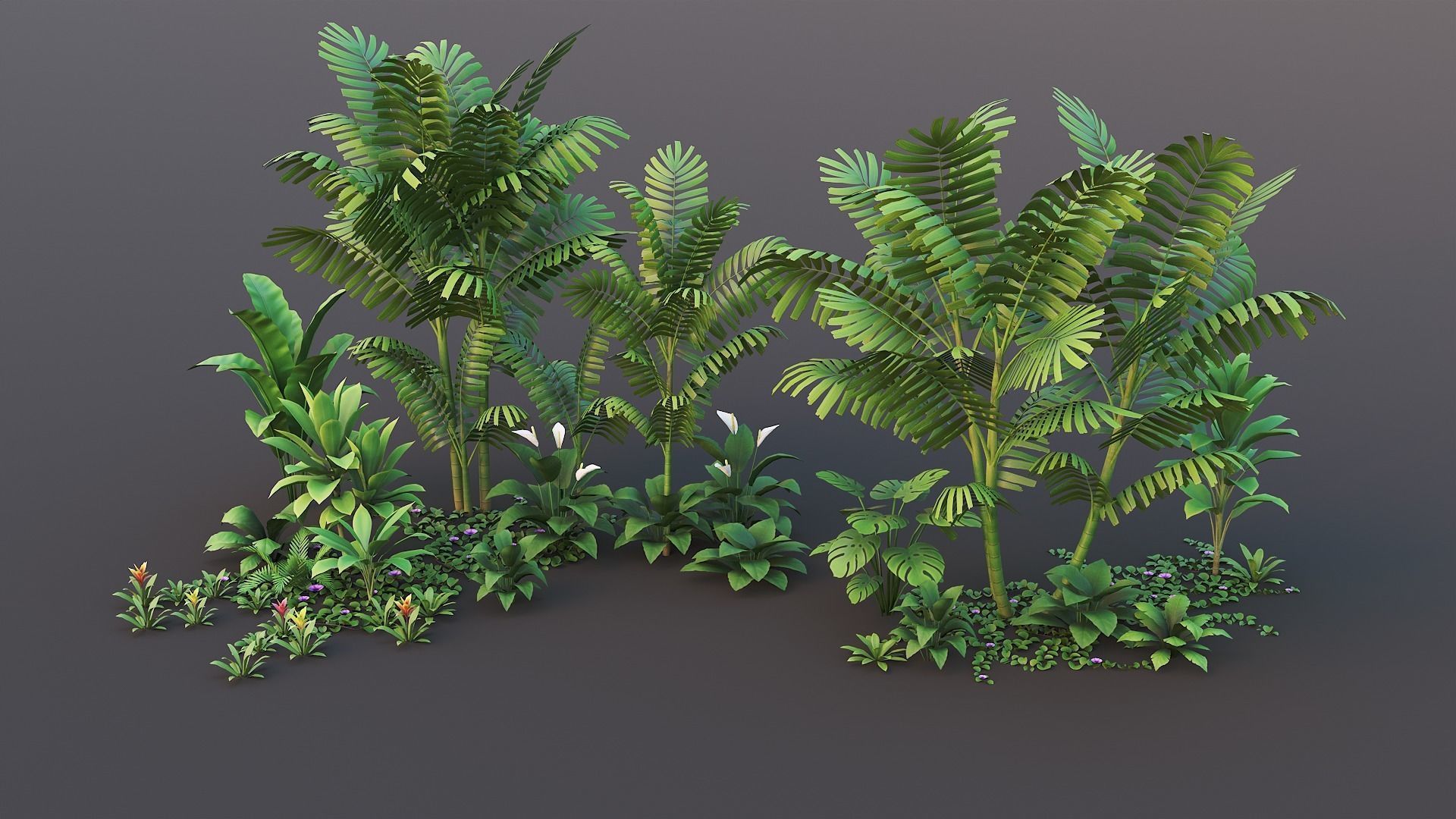 Tropical plants pack G94 Low-poly 3D model_16