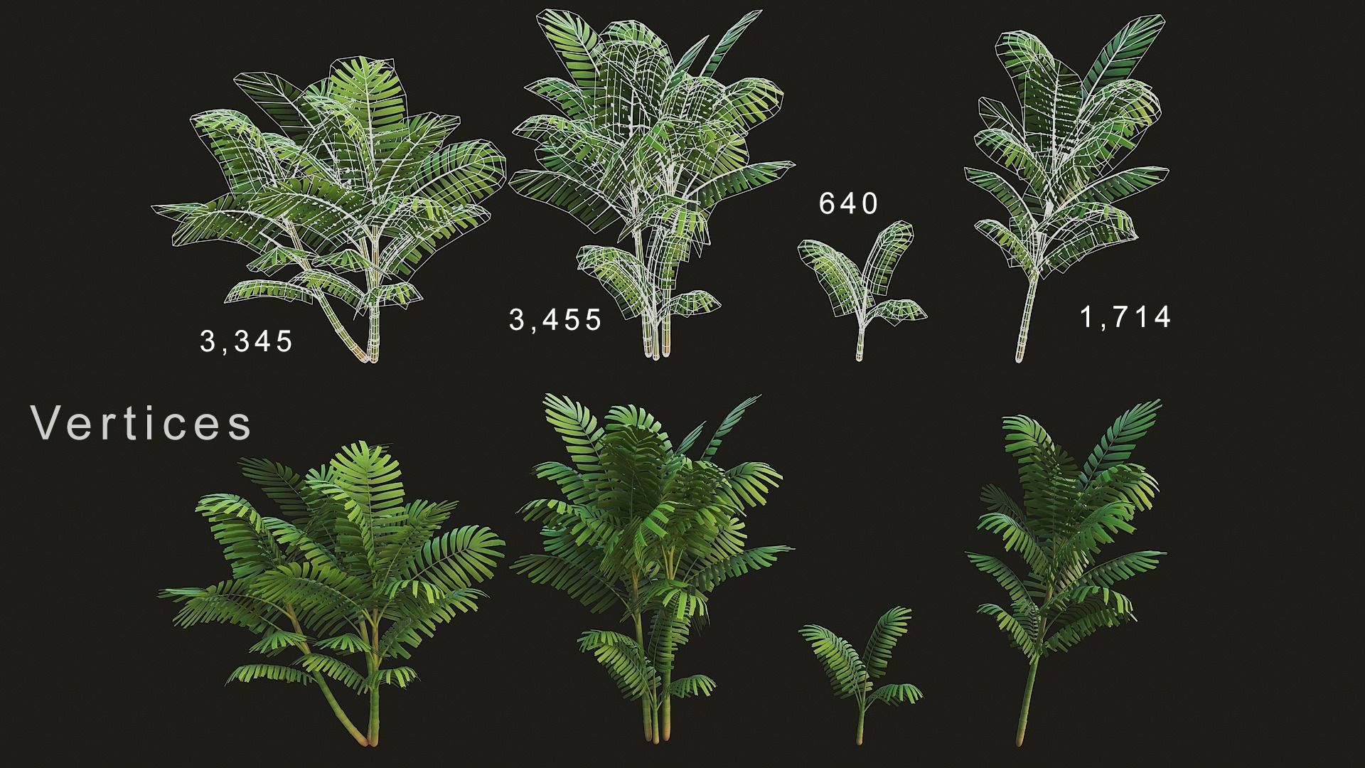 Tropical plants pack G94 Low-poly 3D model_8