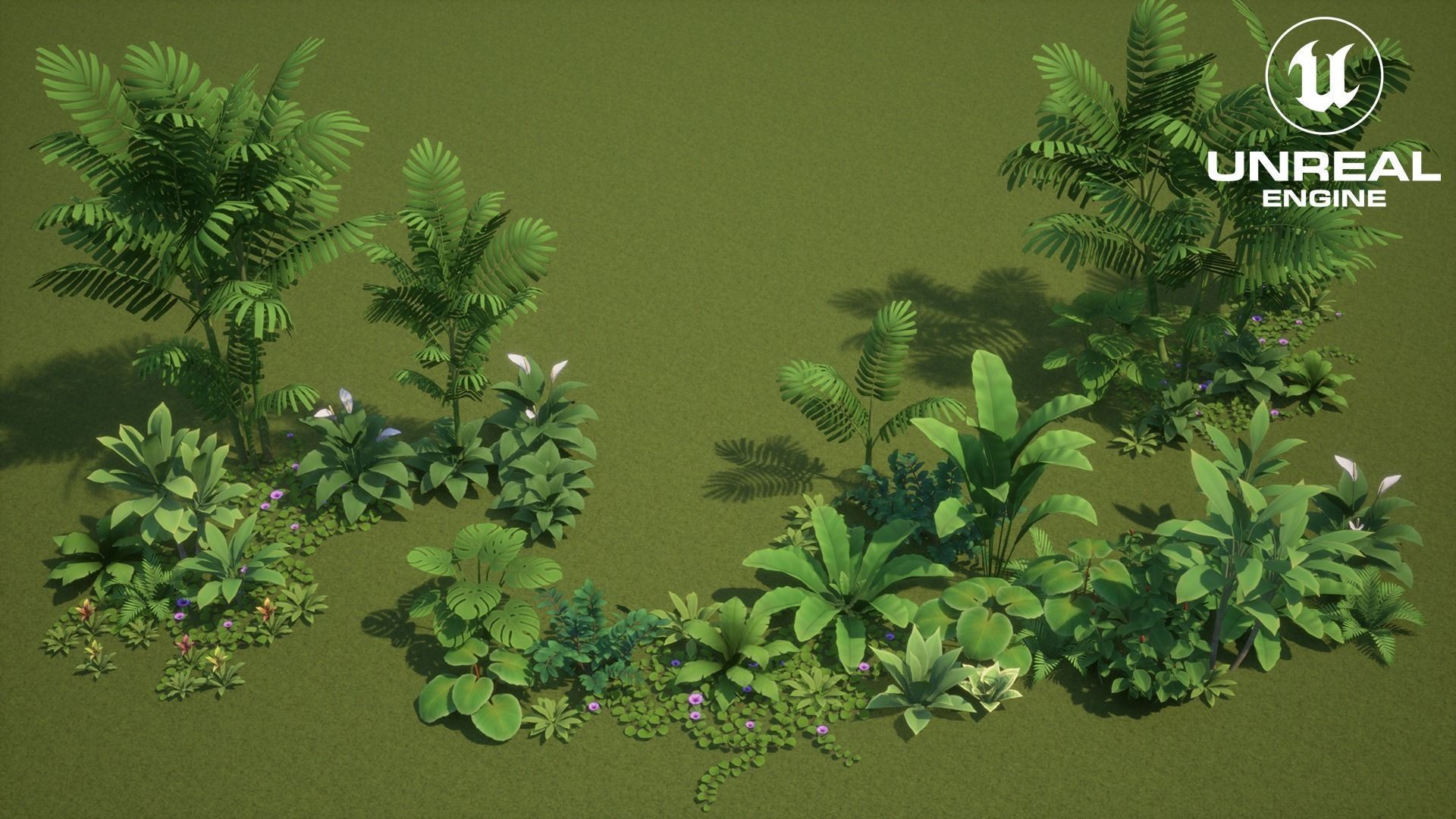 Tropical plants pack G94 Low-poly 3D model_19