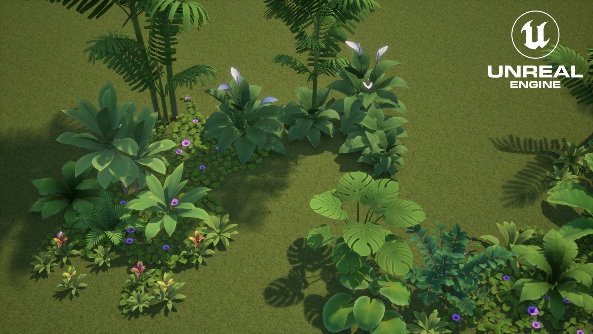 Tropical plants pack G94 Low-poly 3D model_17