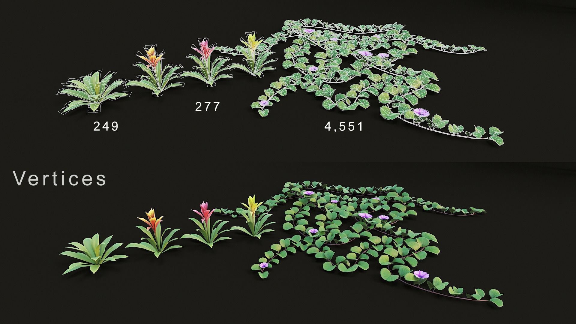 Tropical plants pack G94 Low-poly 3D model_7