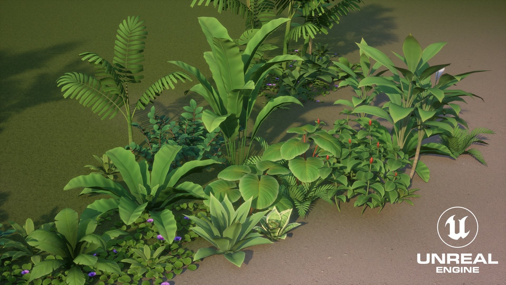 Tropical plants pack G94 Low-poly 3D model_20
