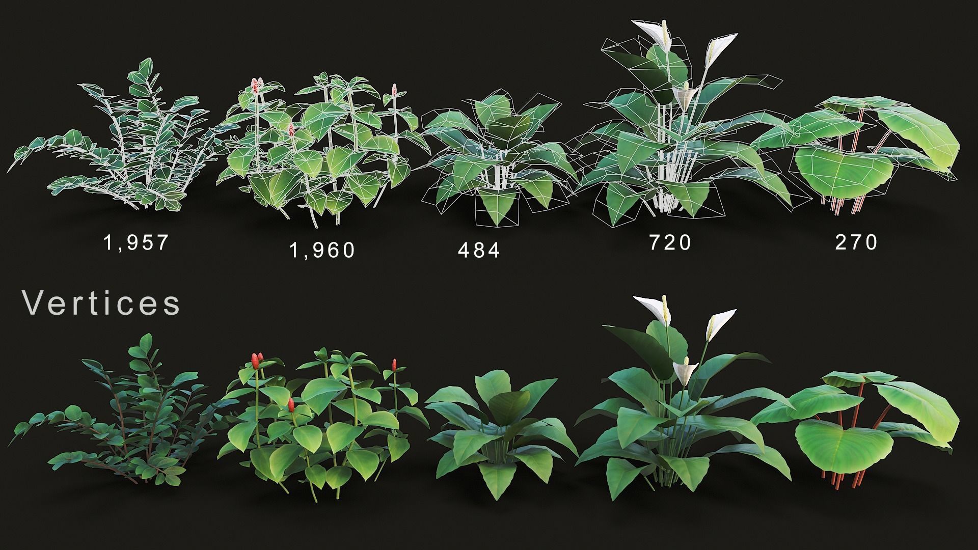 Tropical plants pack G94 Low-poly 3D model_4