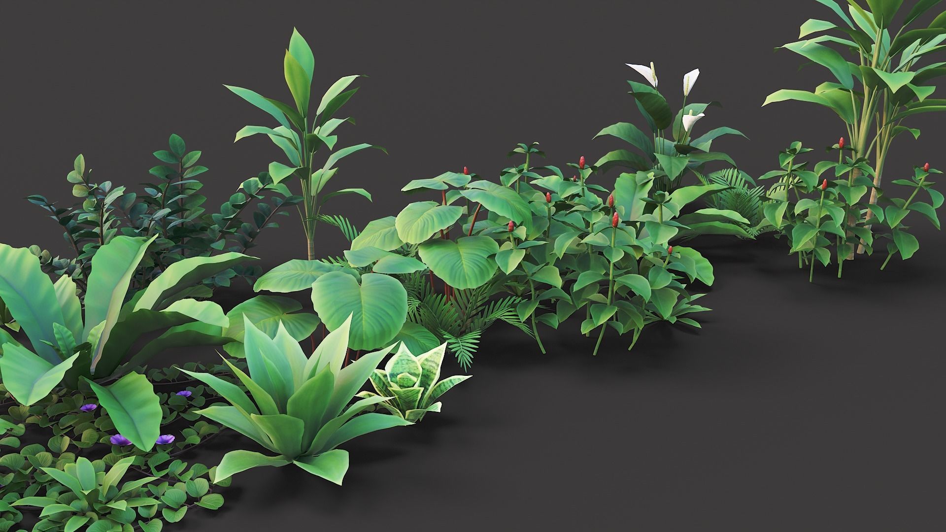 Tropical plants pack G94 Low-poly 3D model_12