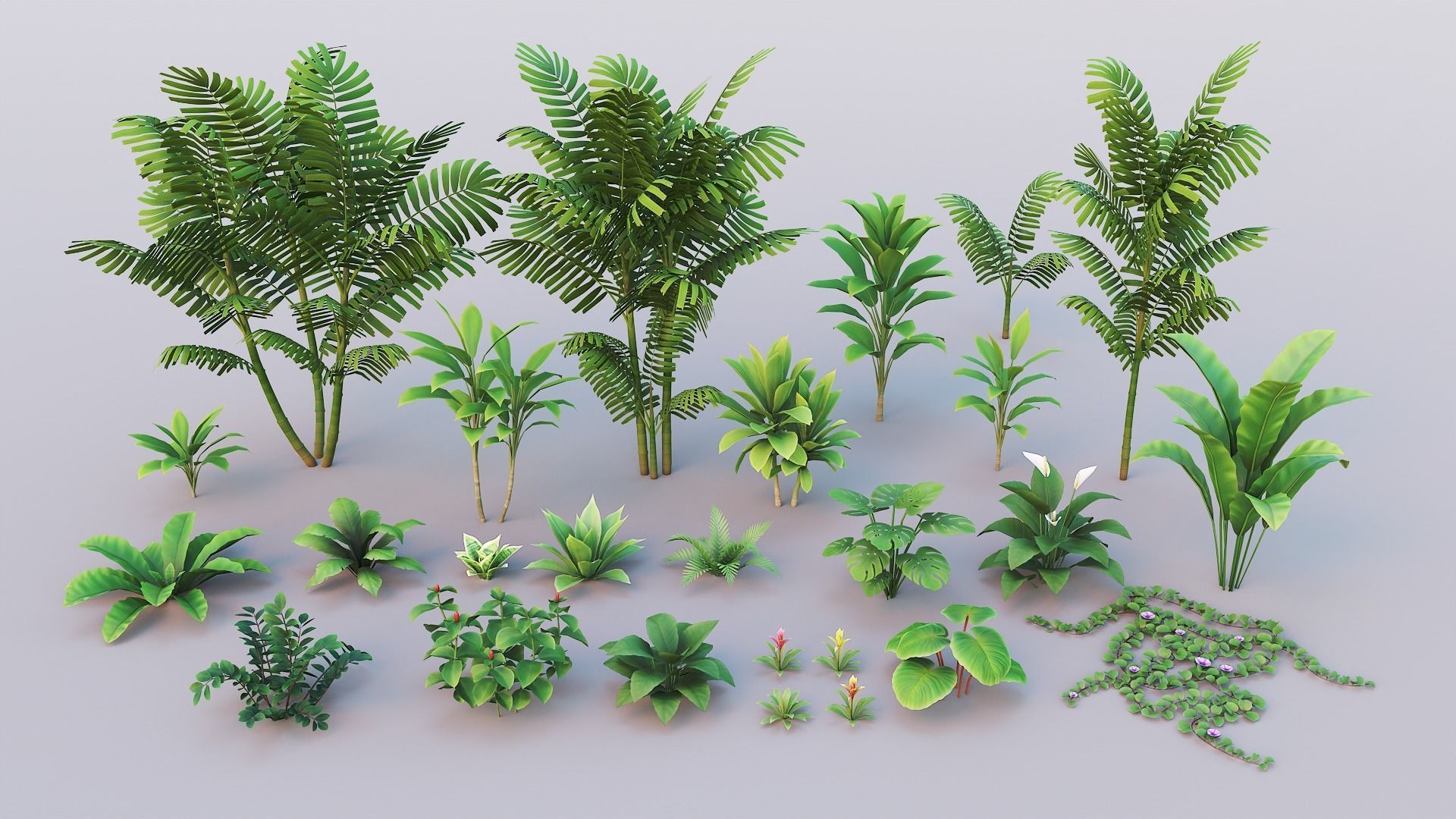 Tropical plants pack G94 Low-poly 3D model_21