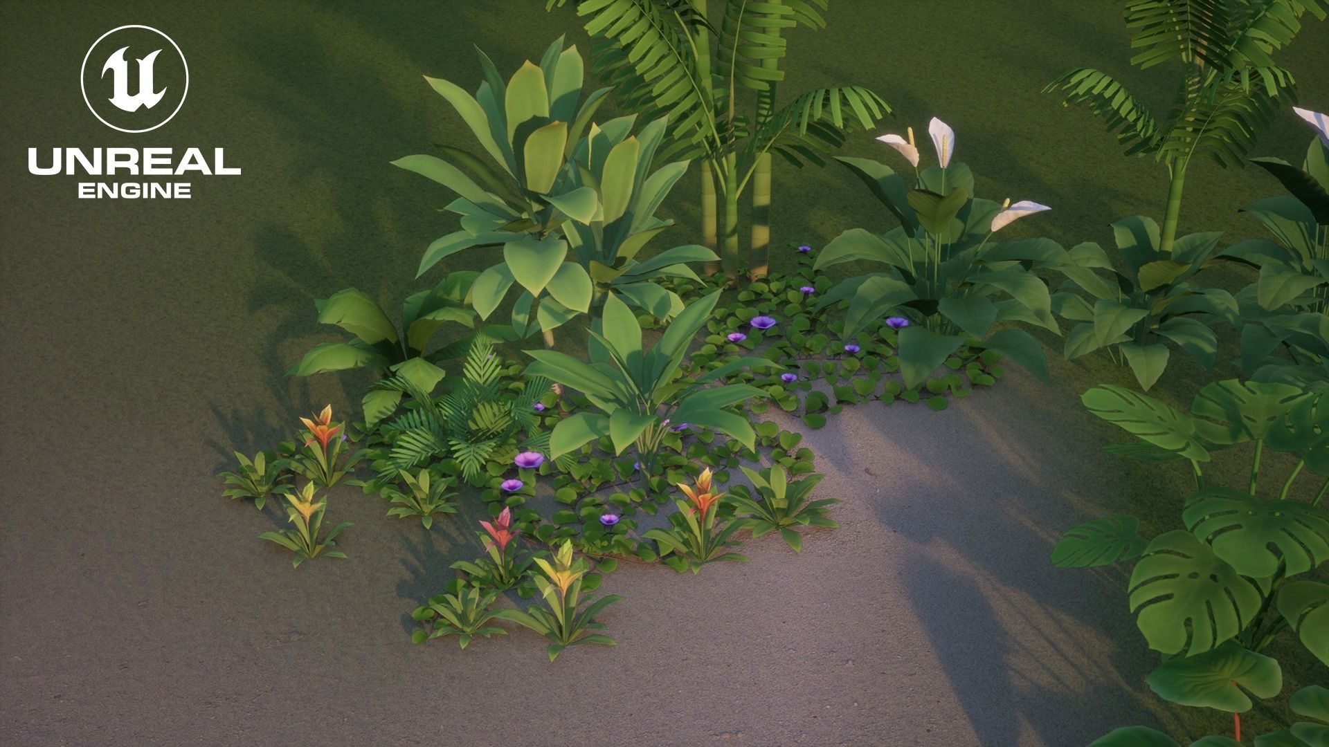 Tropical plants pack G94 Low-poly 3D model_18