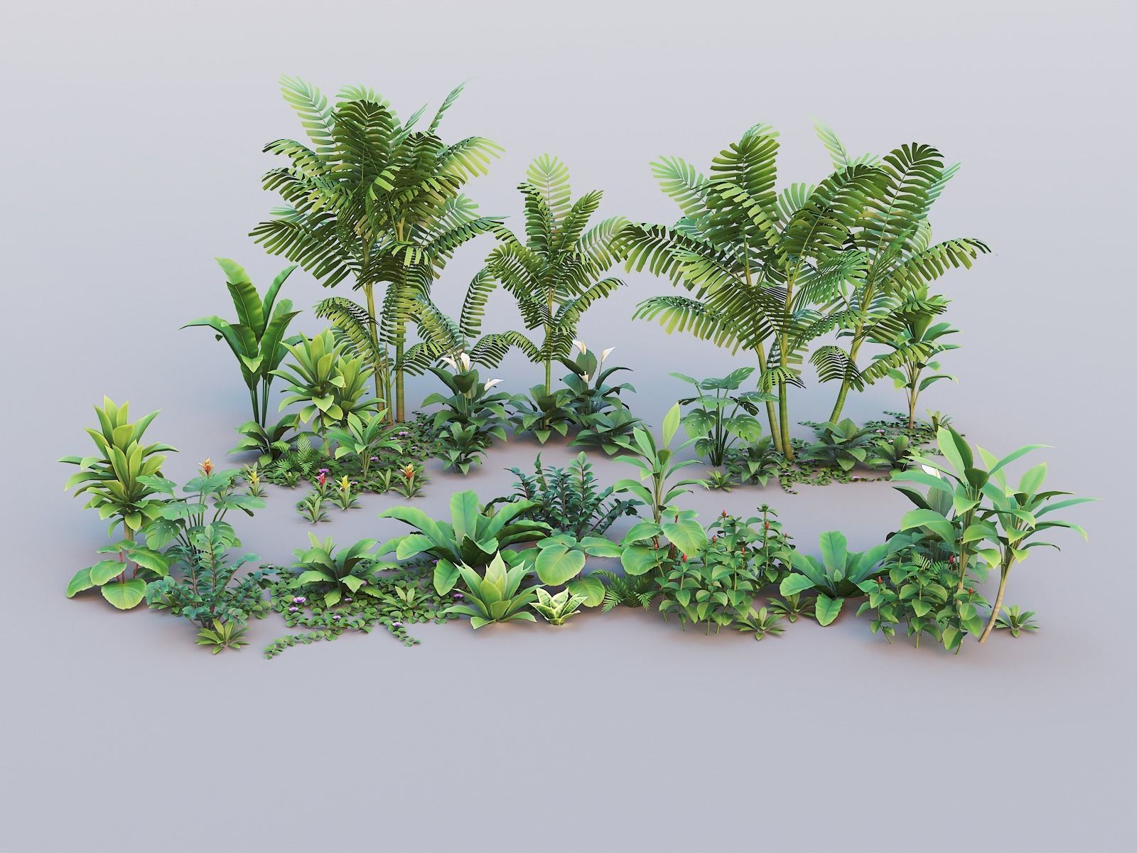 Tropical plants pack G94 Low-poly 3D model_22