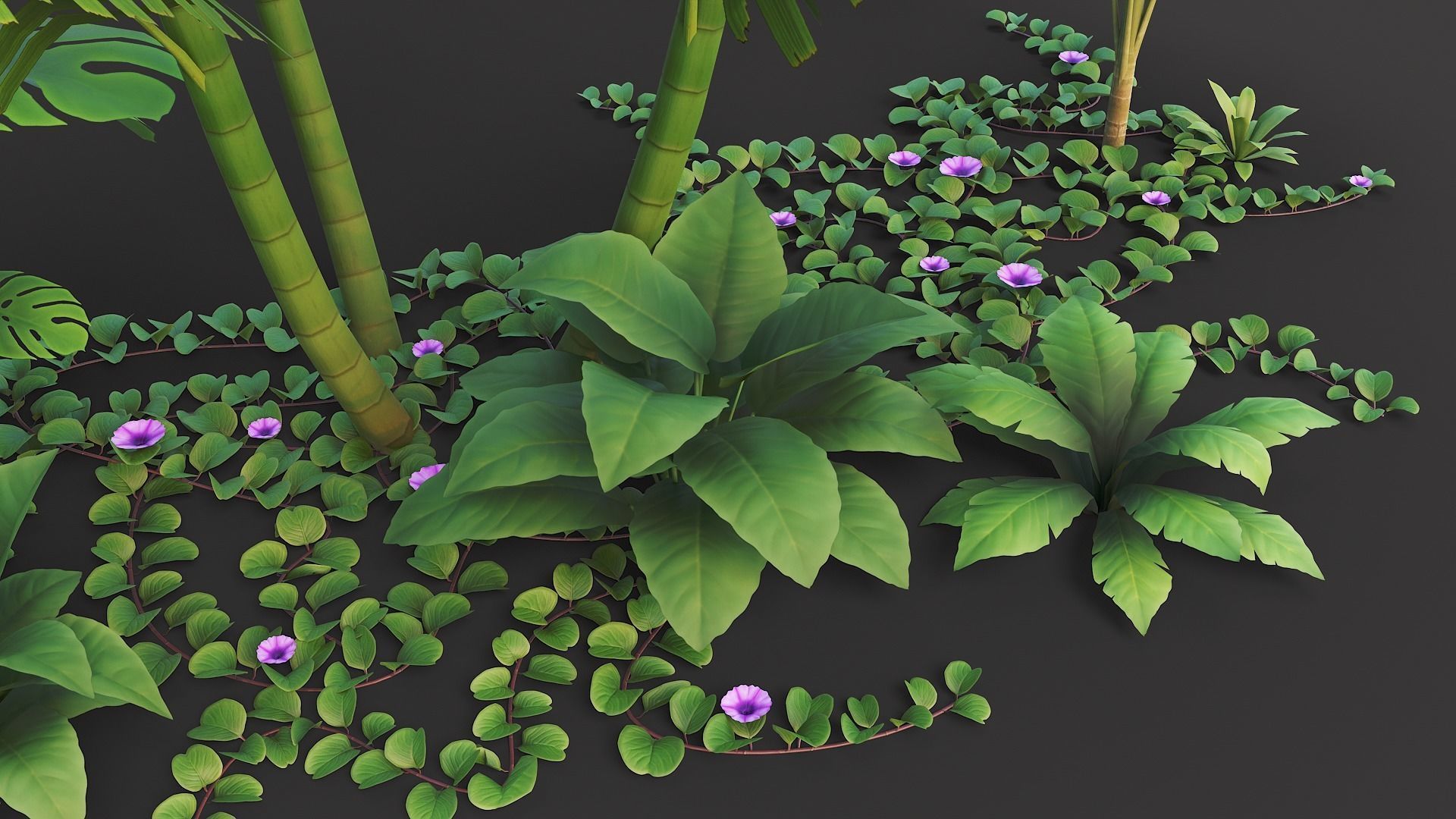 Tropical plants pack G94 Low-poly 3D model_14