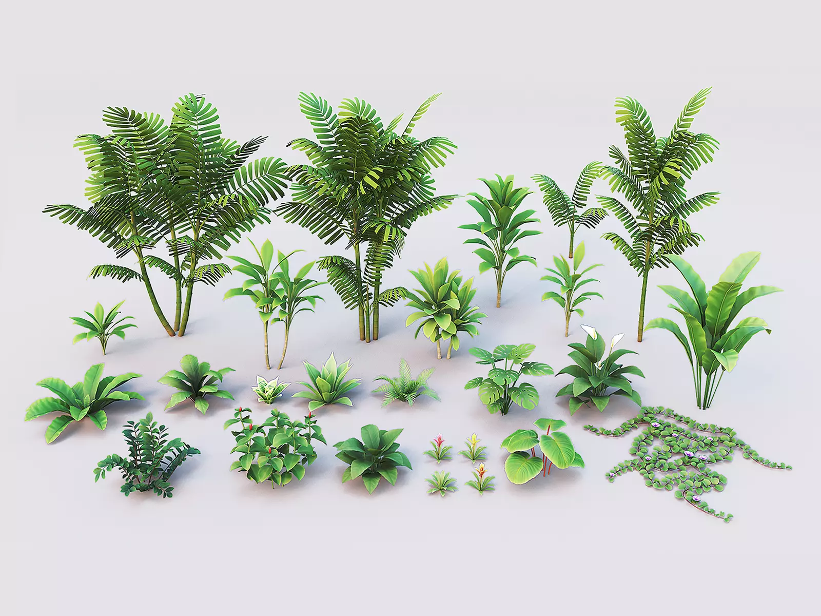Tropical plants pack G94 Low-poly 3D model_0