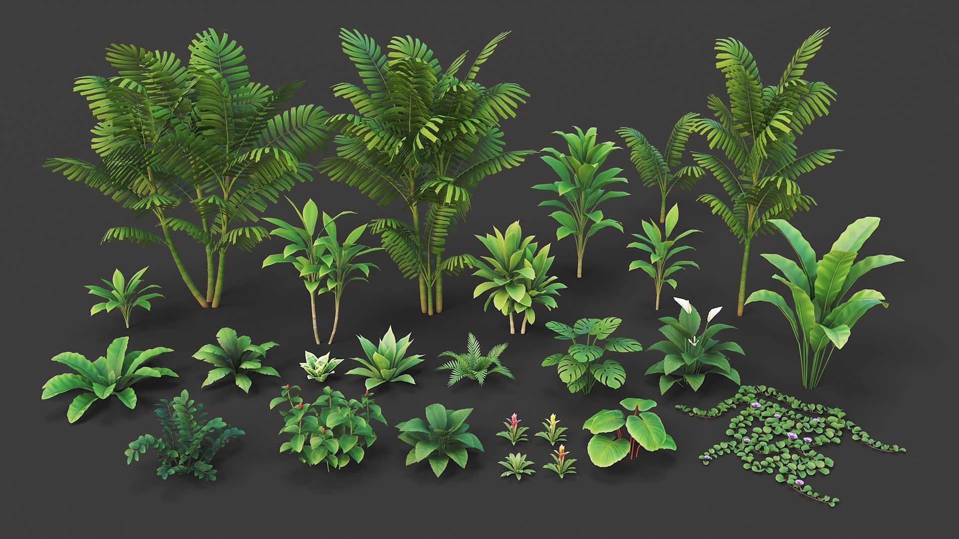 Tropical plants pack G94 Low-poly 3D model_3