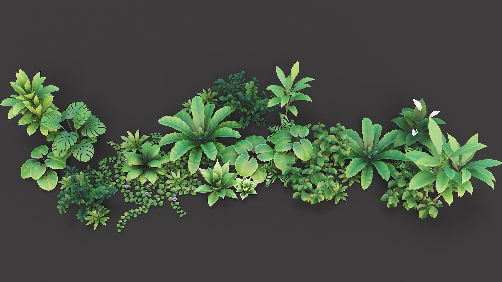Tropical plants pack G94 Low-poly 3D model_10