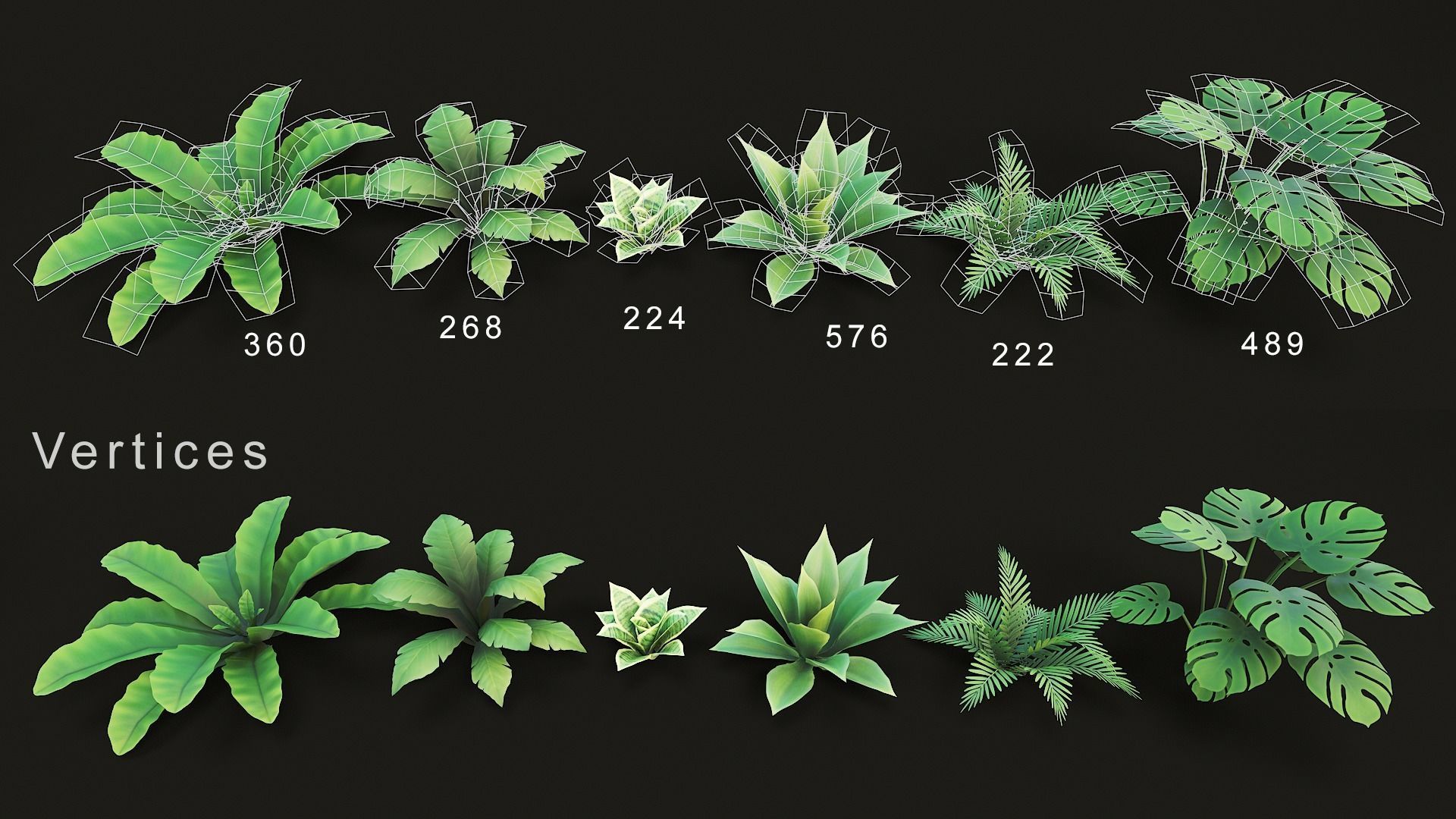 Tropical plants pack G94 Low-poly 3D model_6