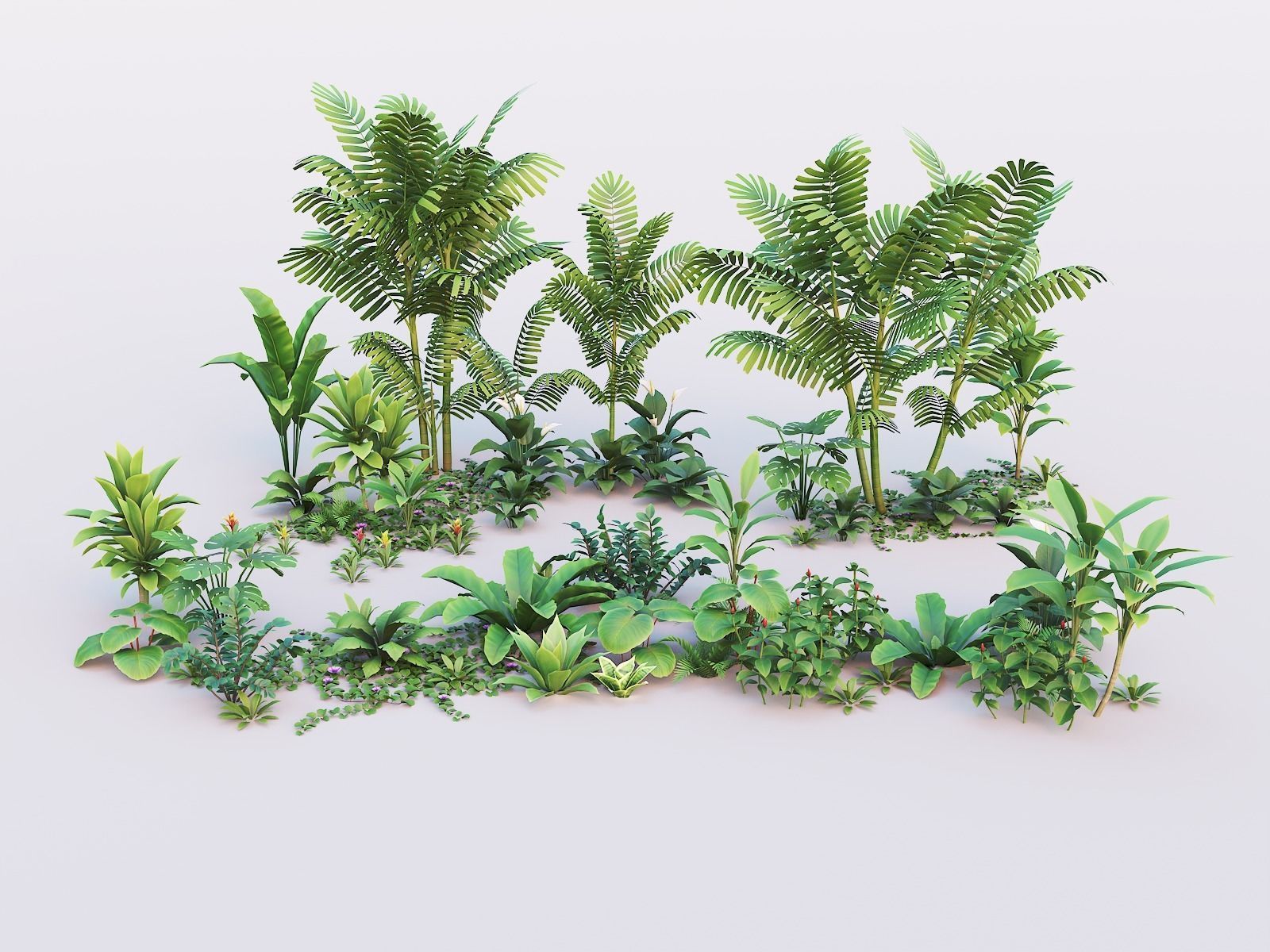 Tropical plants pack G94 Low-poly 3D model_2