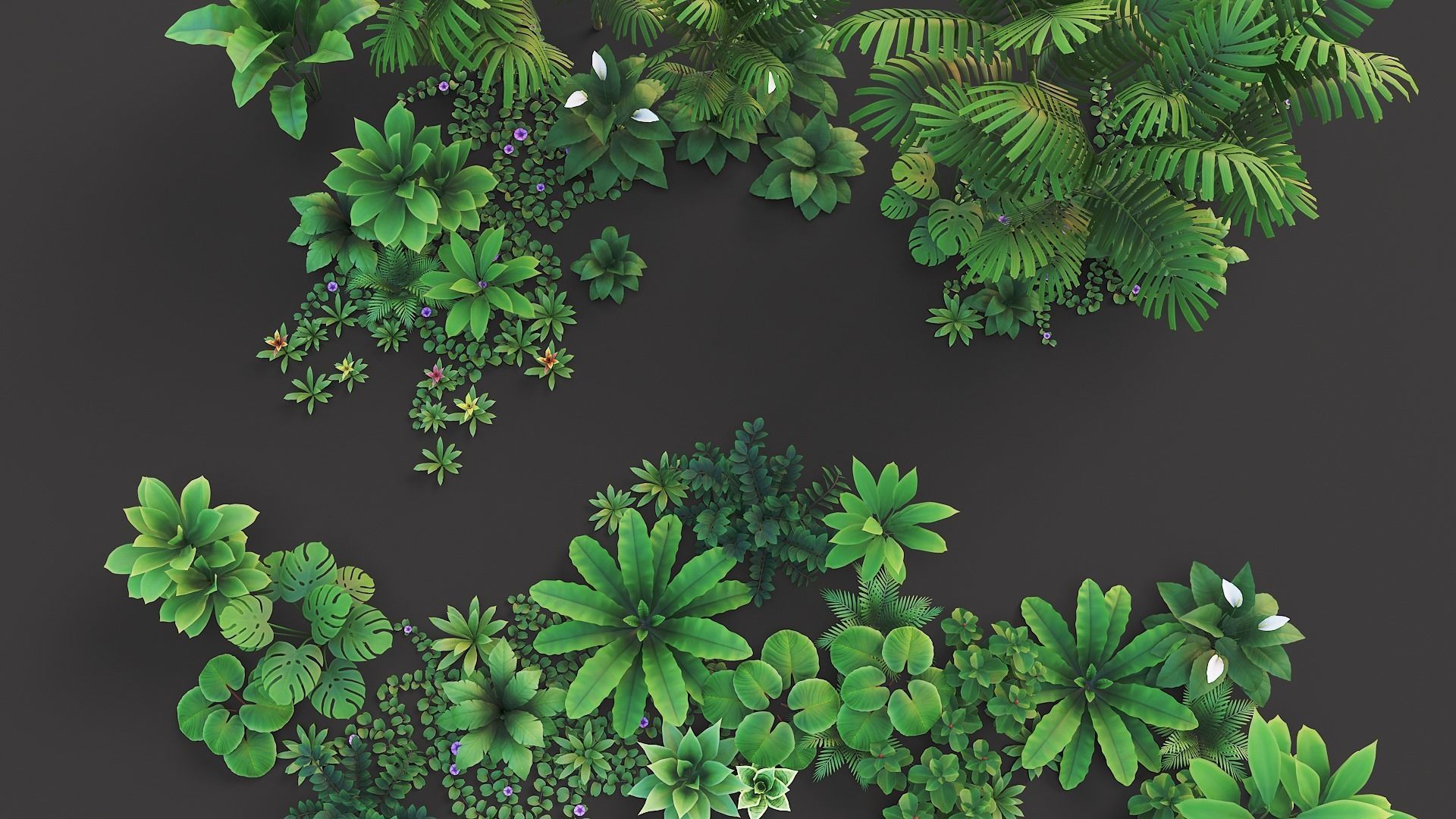 Tropical plants pack G94 Low-poly 3D model_13
