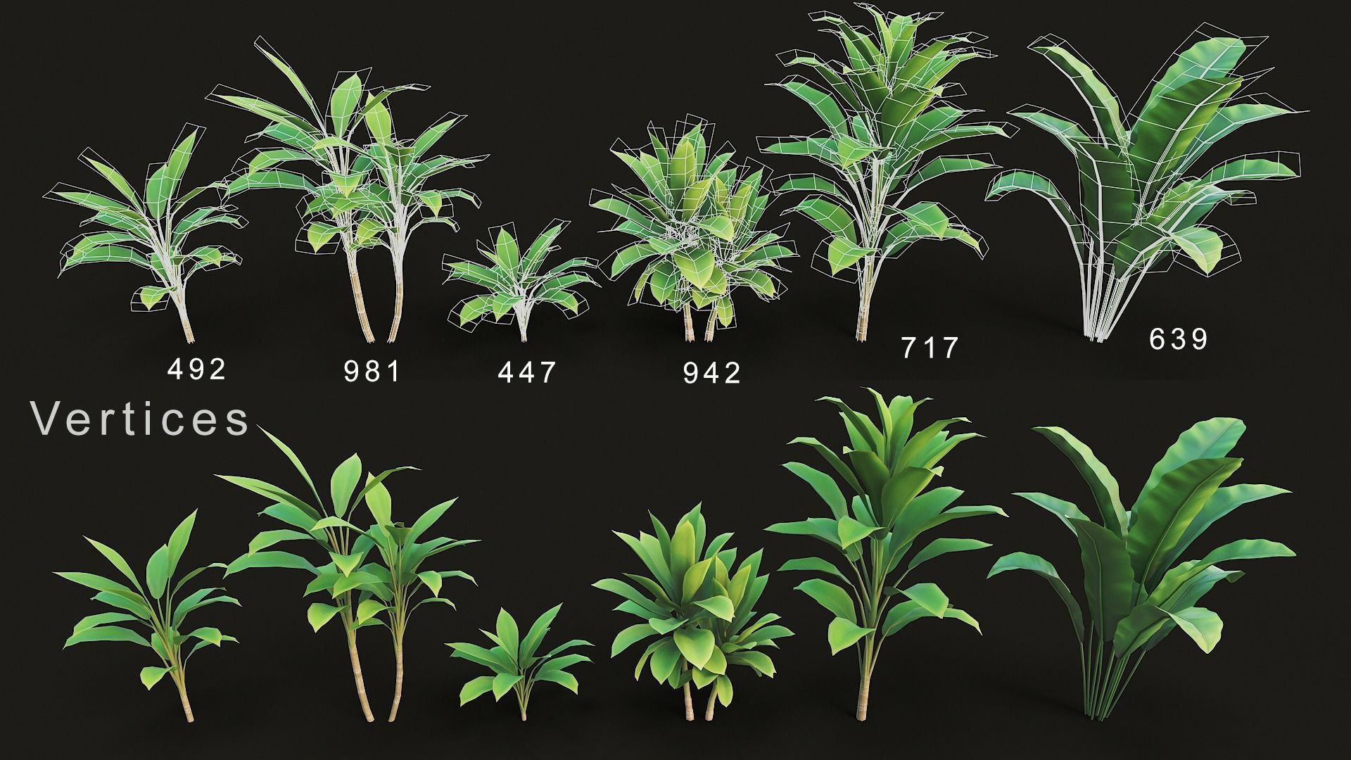 Tropical plants pack G94 Low-poly 3D model_5